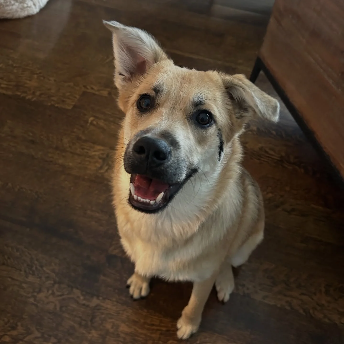 The happy, smiley Lionel! 😁😍