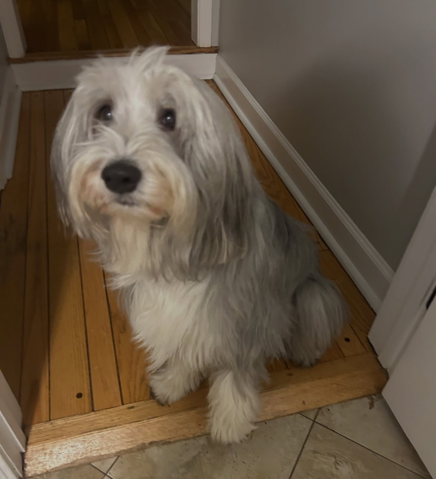 Lucy is the sweetest!