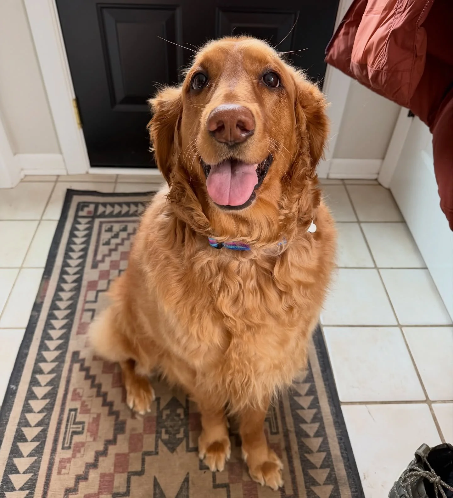 Luna&rsquo;s excitement is too much to contain!!!!