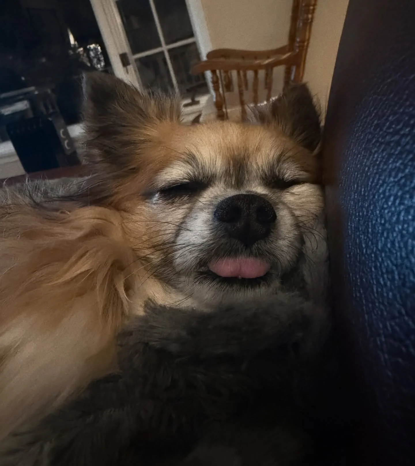 May thinks is &lsquo;ruff&rsquo; being this cute