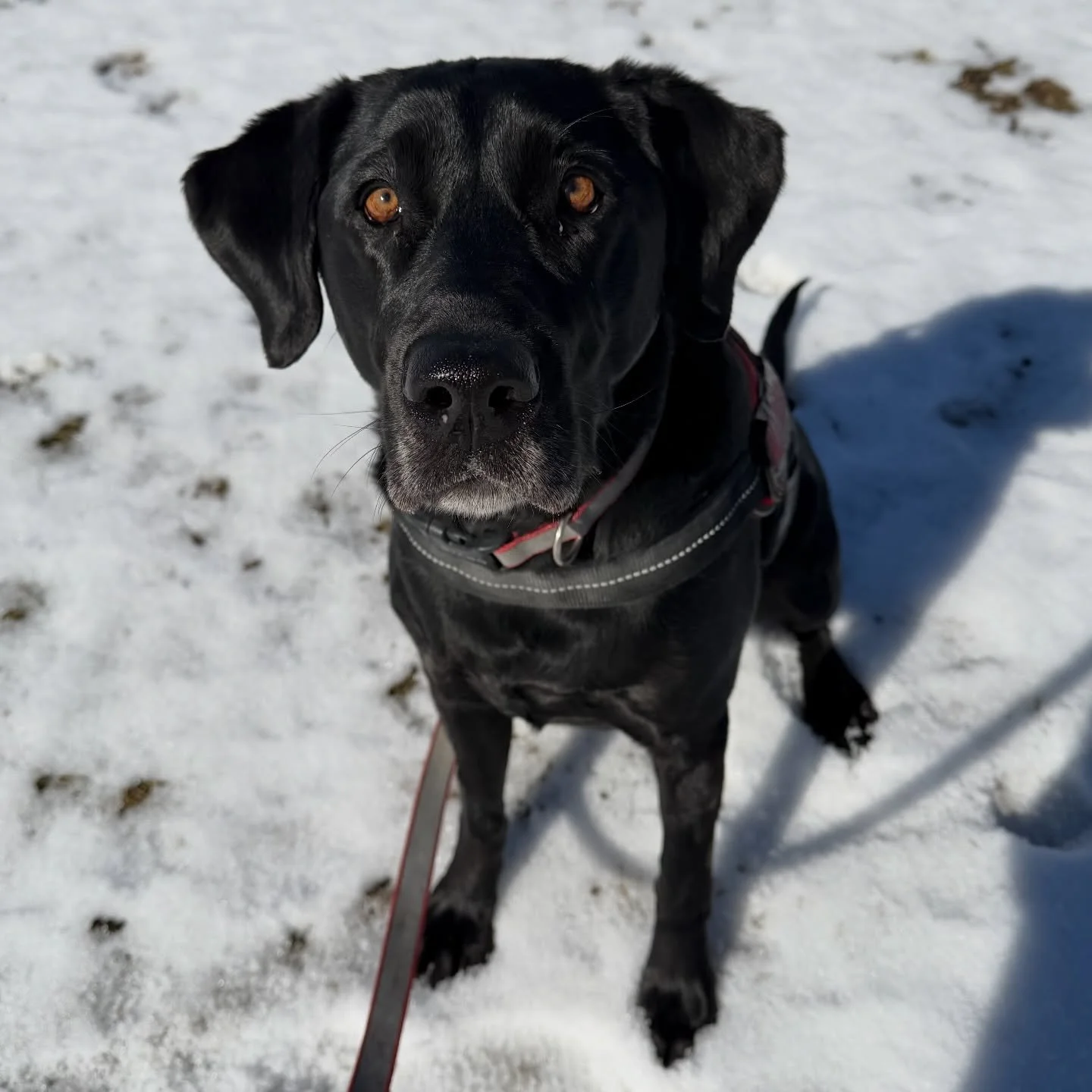 Tali&rsquo;s eyes are captivating!