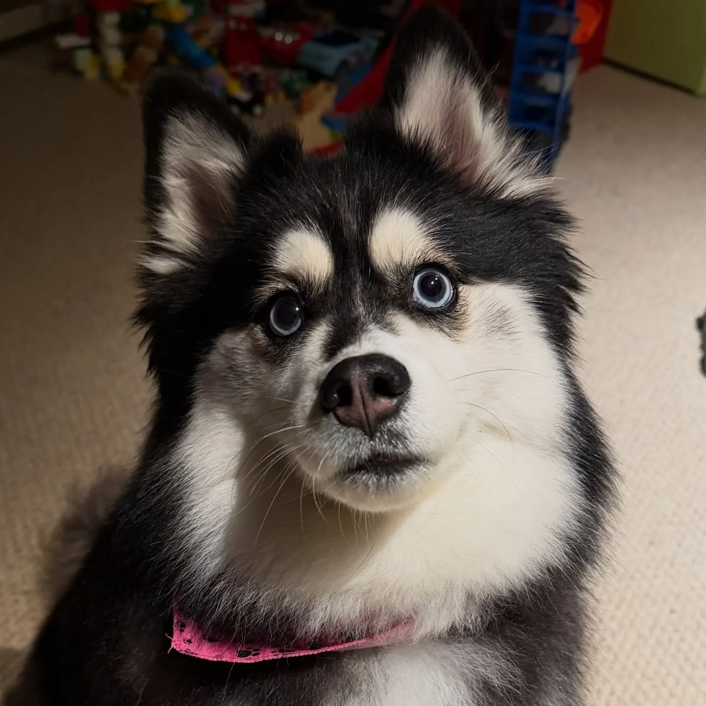 Tillllllyyyy!!! ☺️☺️☺️