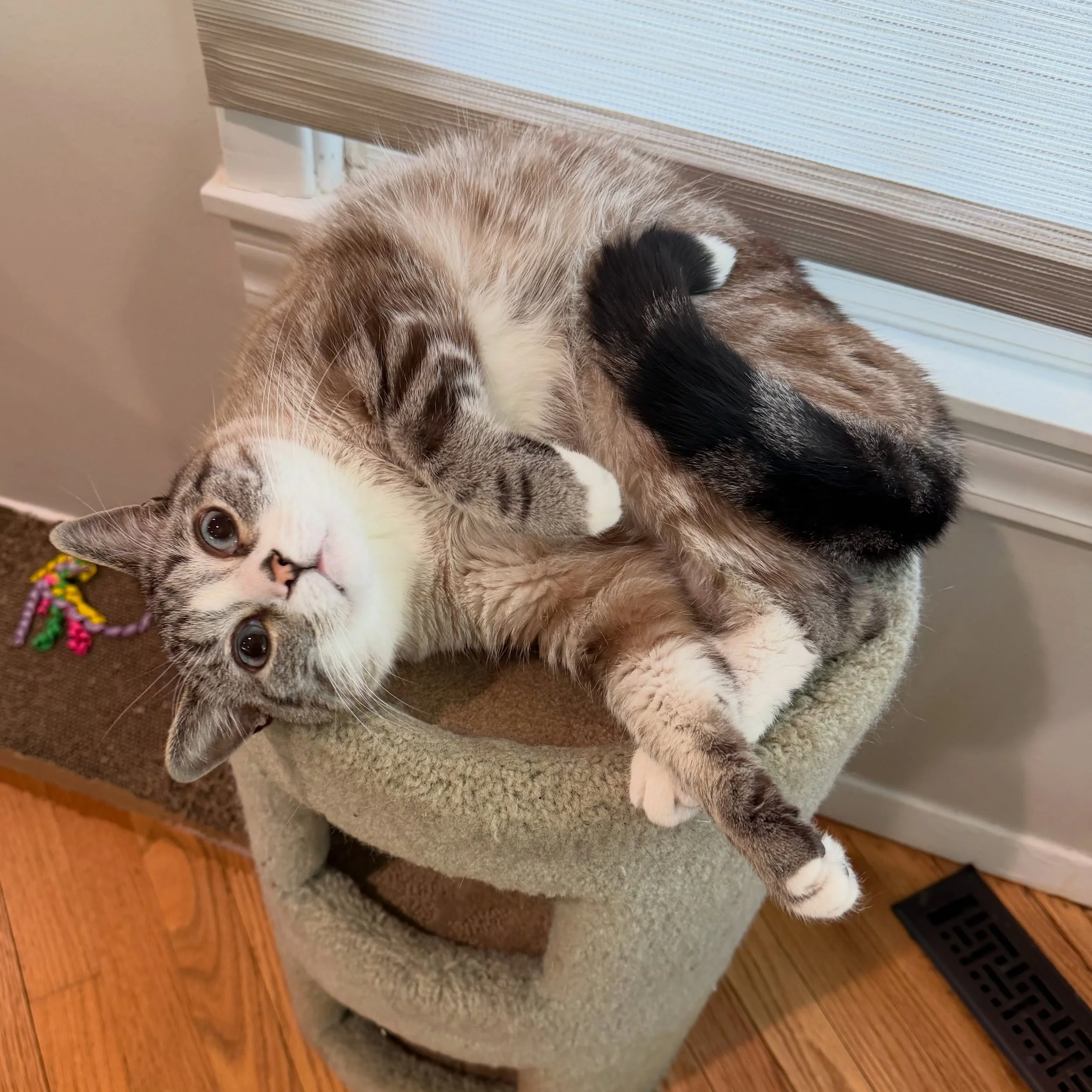 Finn is a wild lil dude!