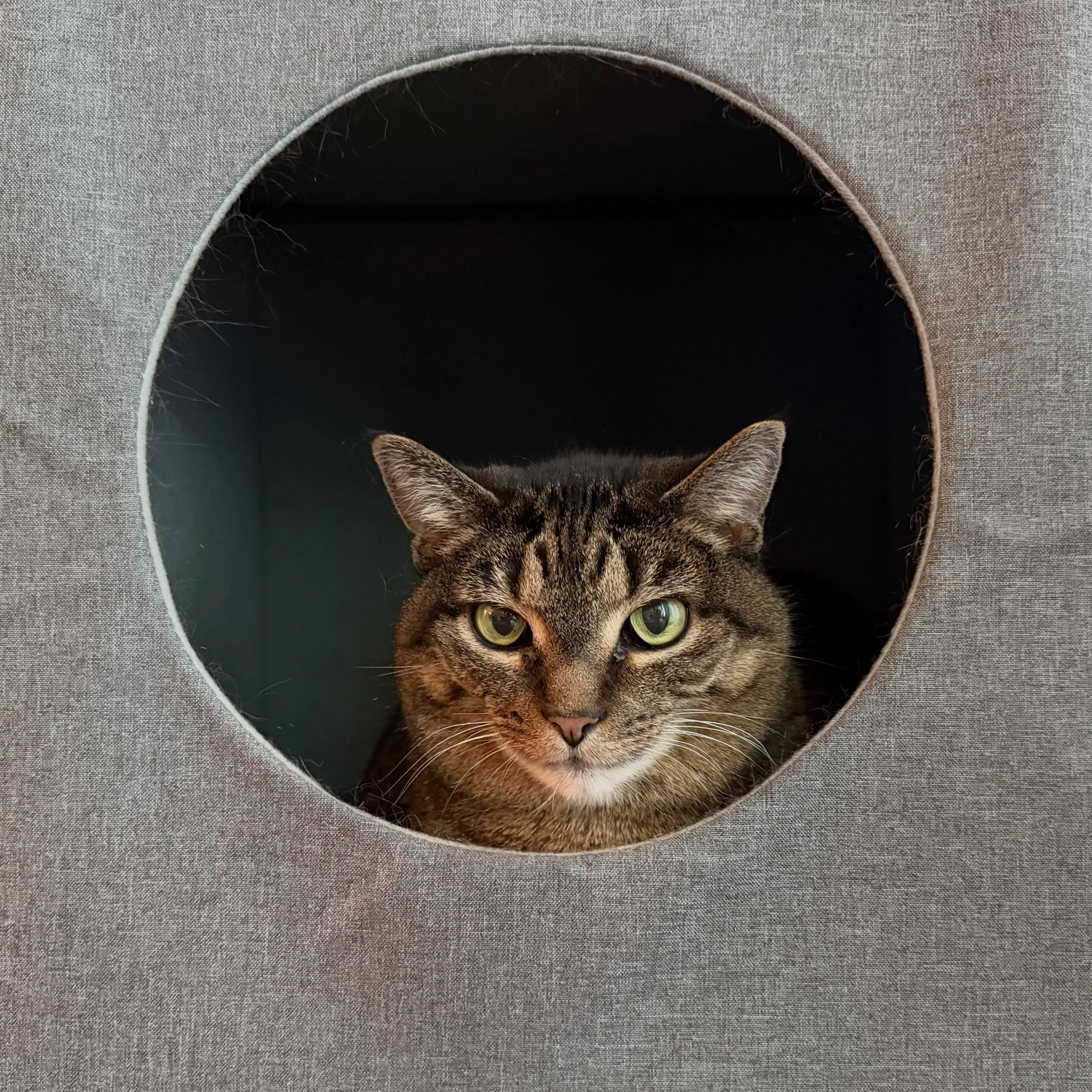 Teeny loves her little house!