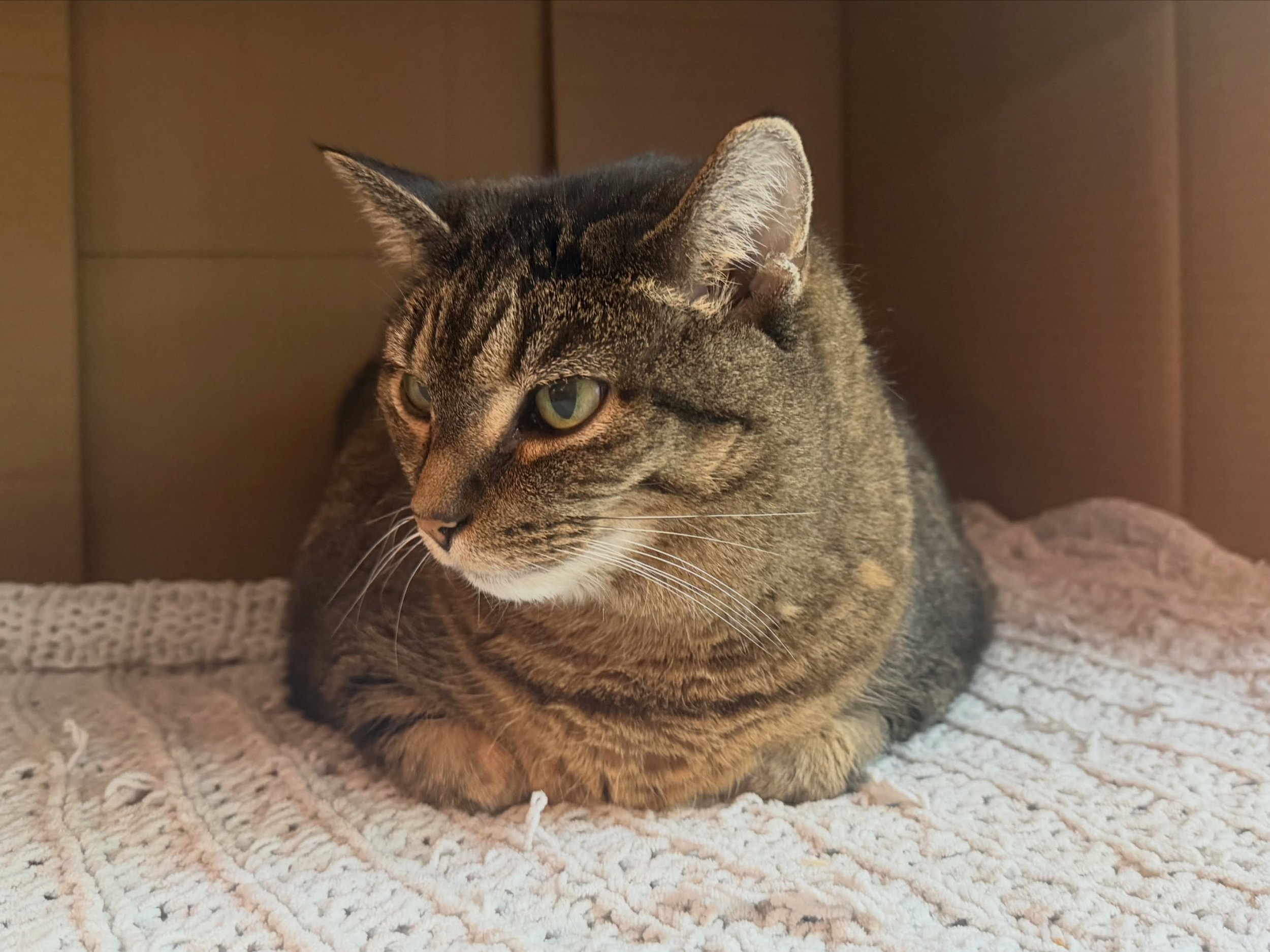 Teeny being bashful for her photo ❤️