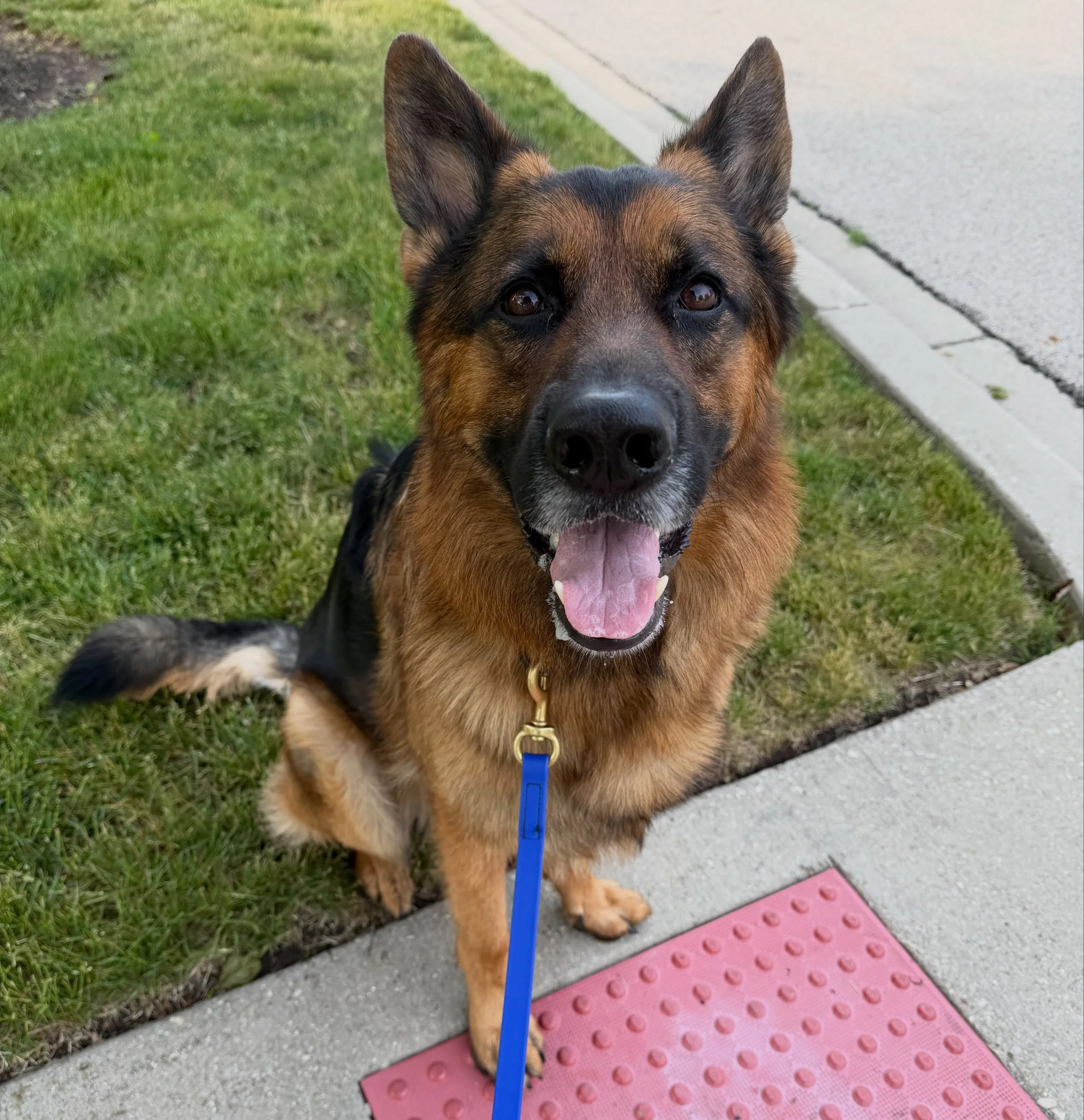 Yogi!! 😍😍😍😍