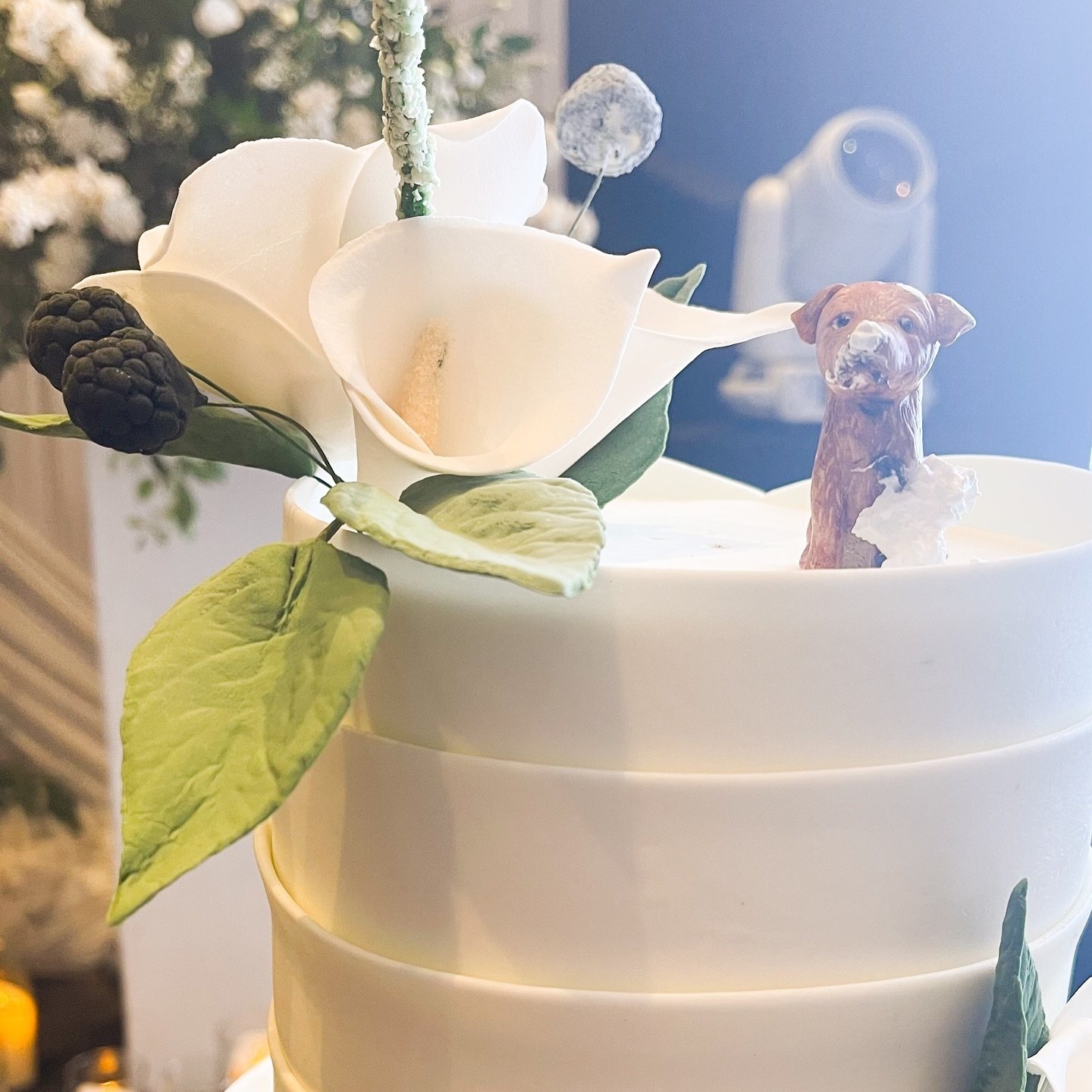 That&rsquo;s a wrap on Q3 of 2024! 🤍 Here&rsquo;s a little sneak peek at what went down from July to September &mdash; and trust me, it was a whirlwind! 🫶🏼

1. Who ate the cake?! 🐾 (Hint: It wasn&rsquo;t just the humans sneaking bites 😅)
2. Our 