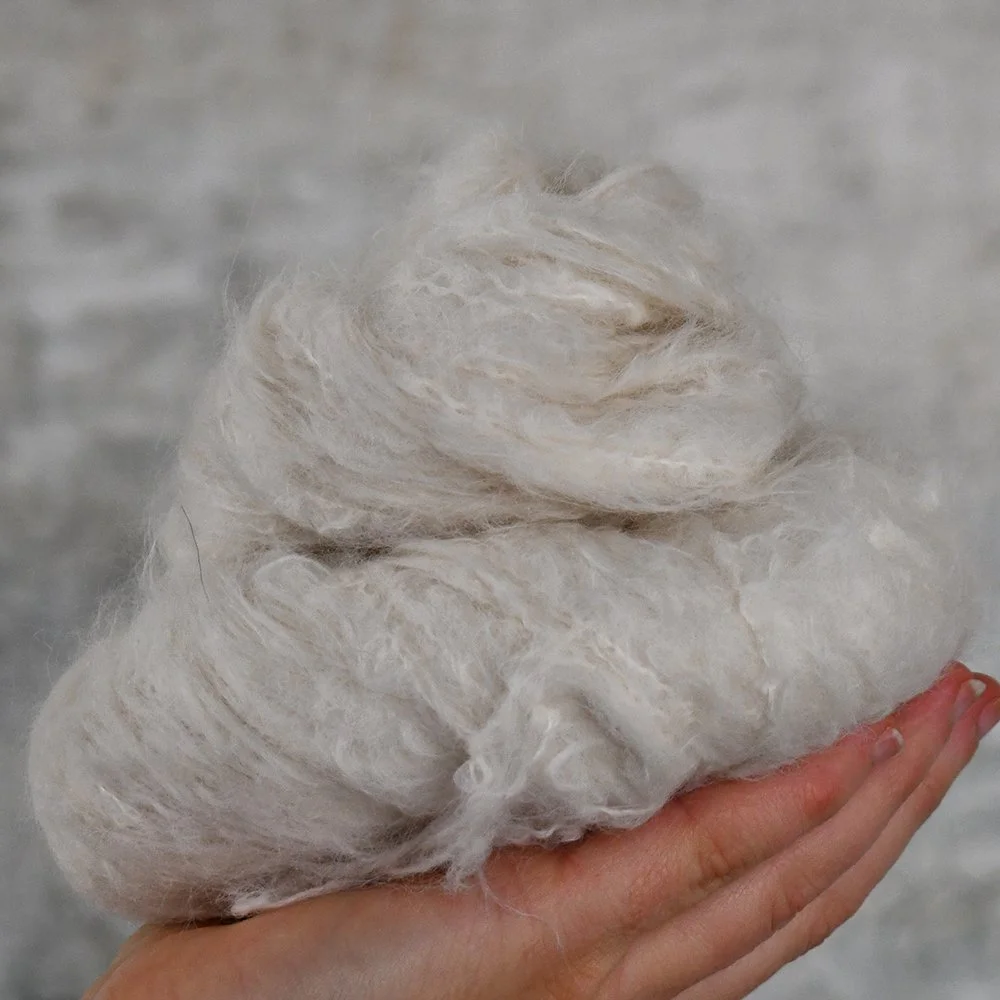 Undyed skein of Lion's Mane DK