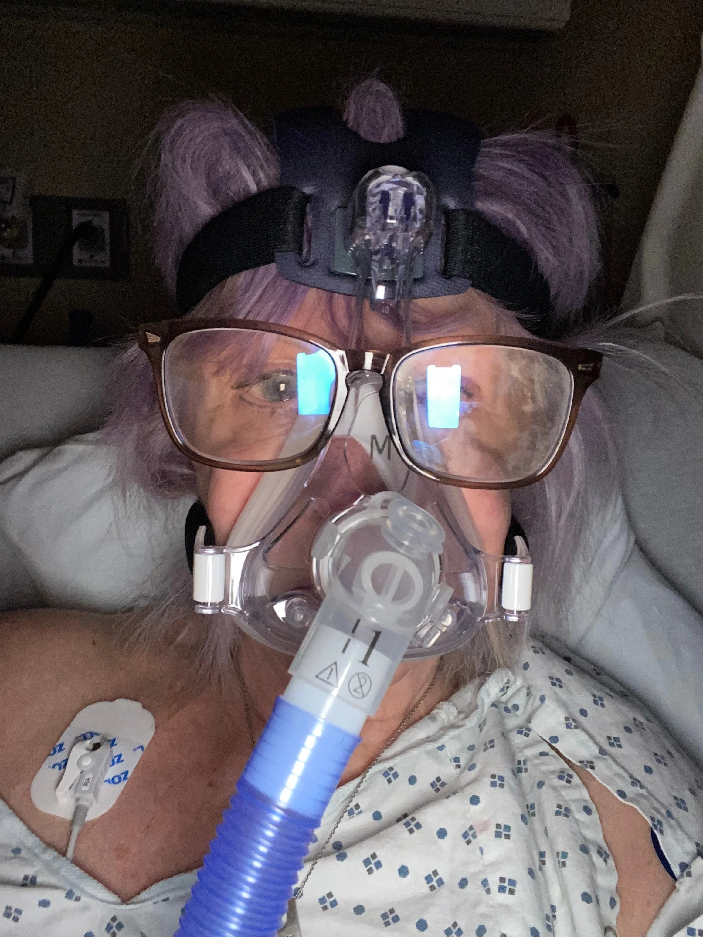 Stepping Into Peace: Embracing My Next Chapter with&nbsp;Gratitude (Copy)