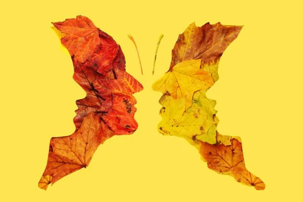 What Autumn Can Teach Us About Letting Go