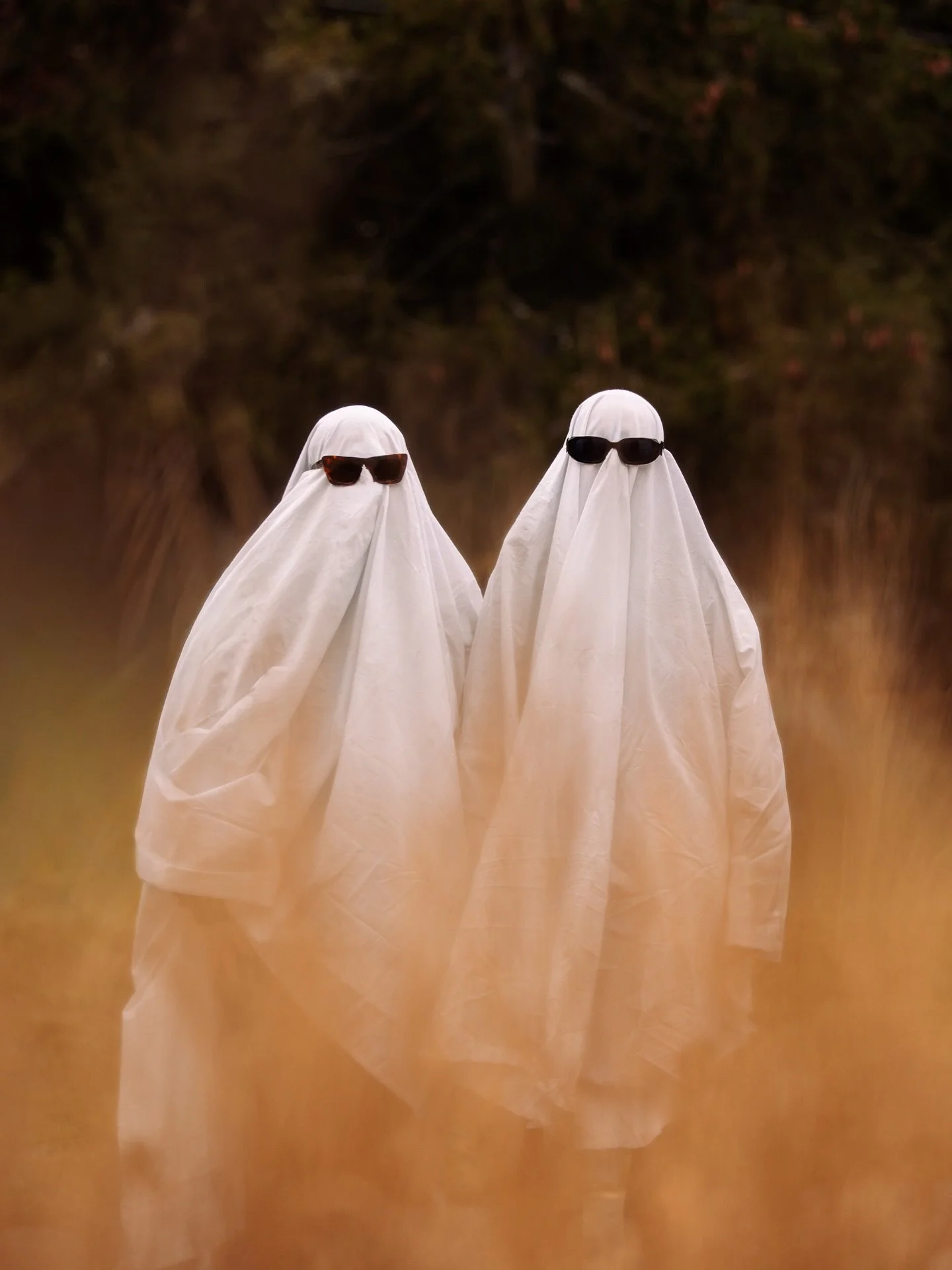 Happy Halloween! 👻