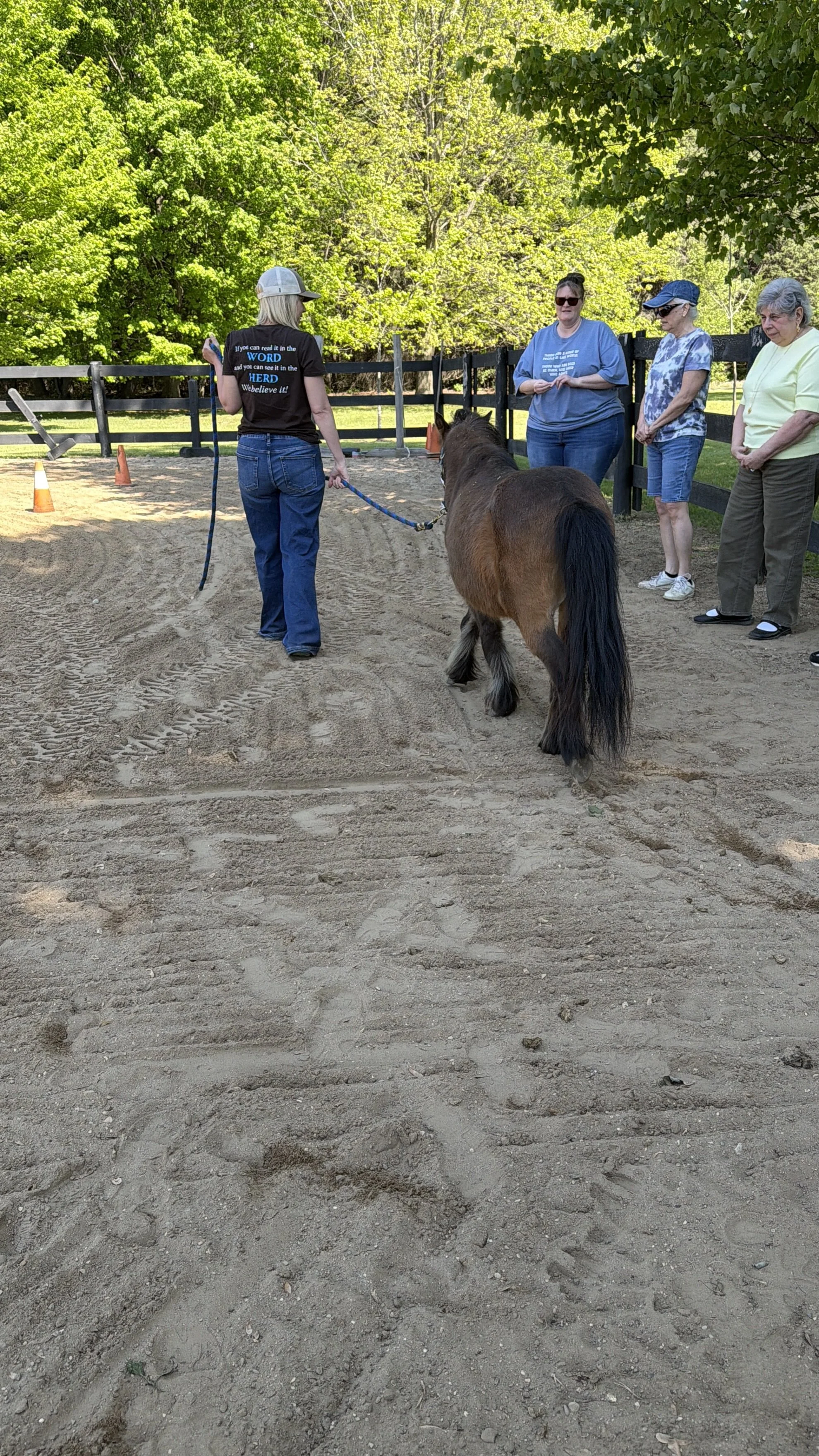 Melissa Prusinski explaining an FBEAP exercise while a group if ladies listen. She is leading a bay colored pony