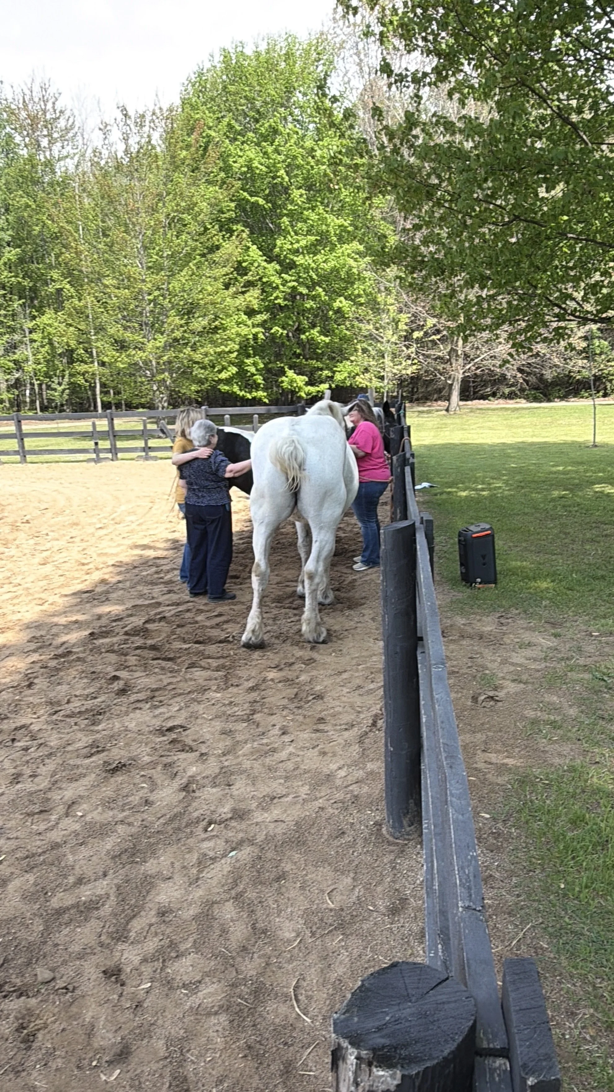 Three women gathered around horses talking and having arm around each other. Doing FBEAP exercise.