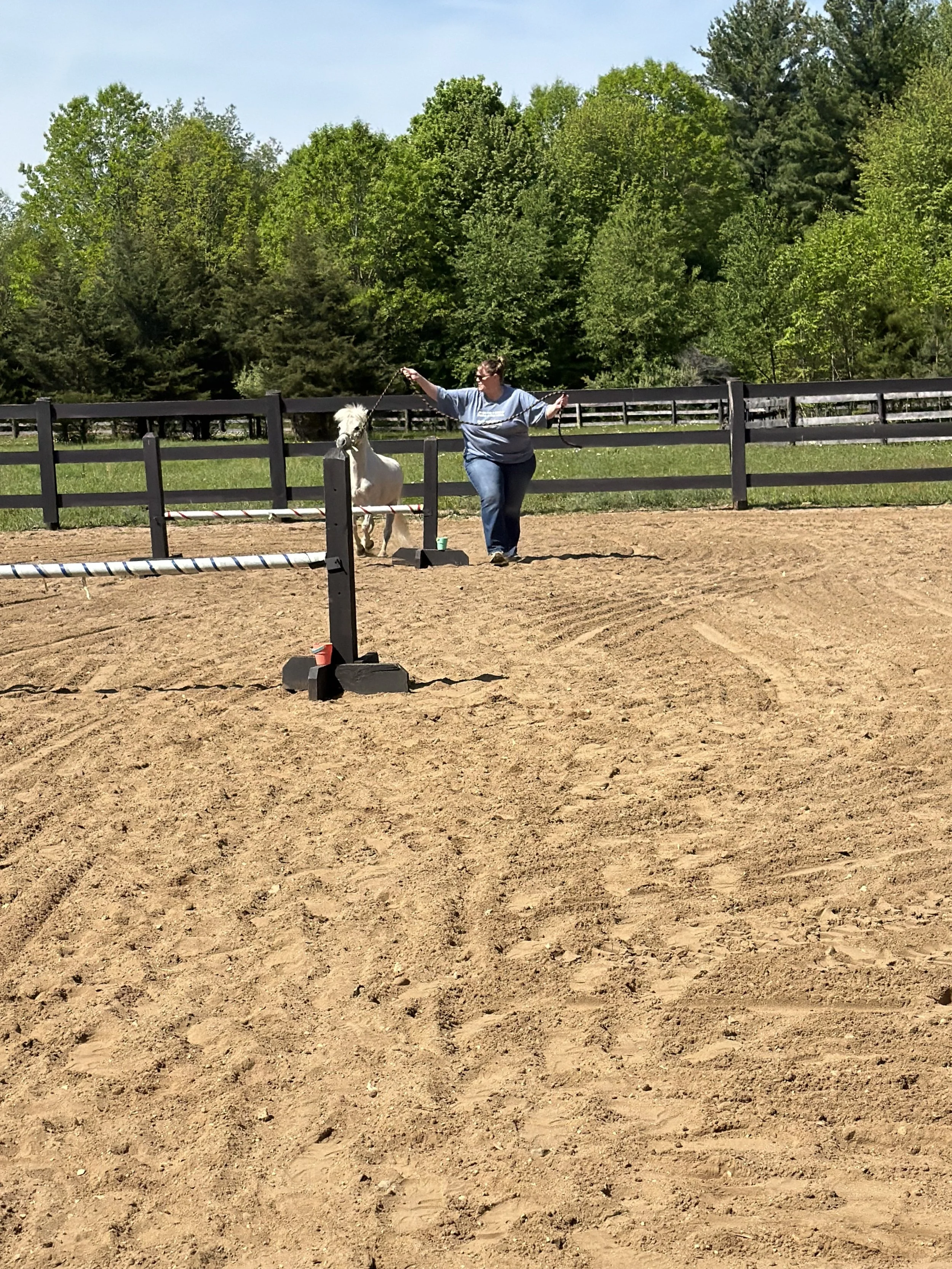 A women participant preforming an FBEAP horse exercise where she jumped the mini pony over a hurdle