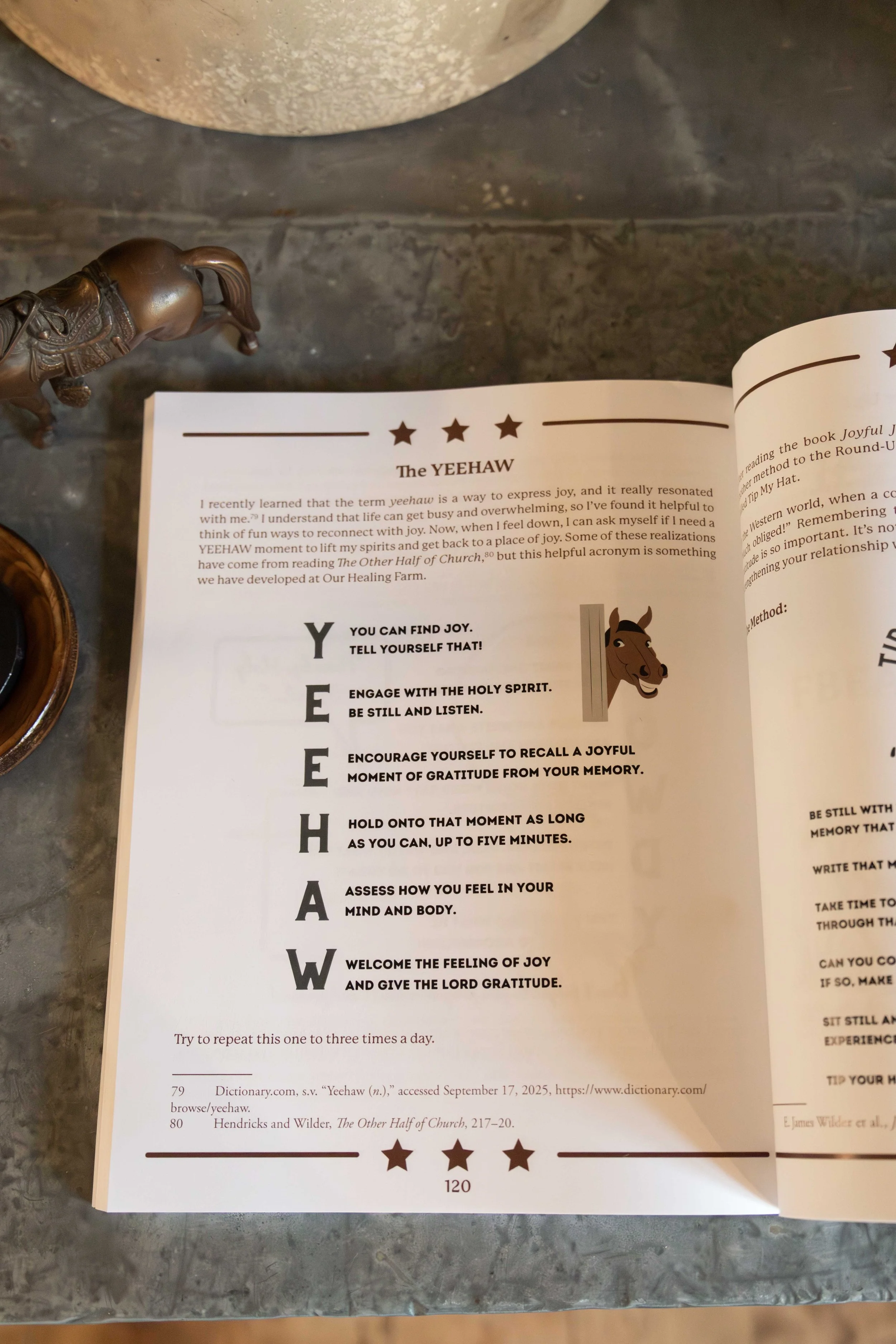 Picture of the YeeHaw method with a horse illustration smiling