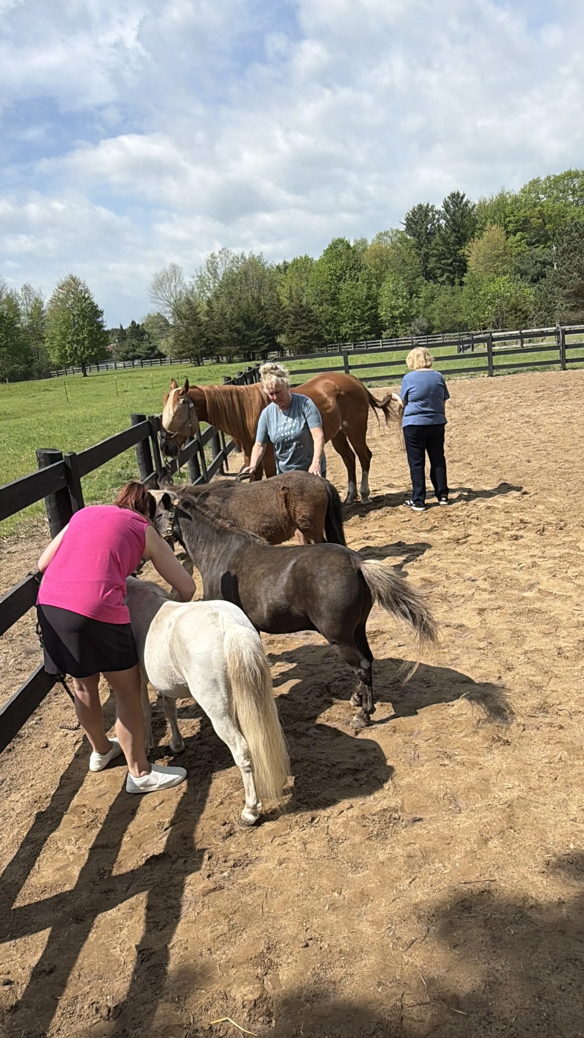 women surrounded with horses grooming them doing an FBEAP exercise