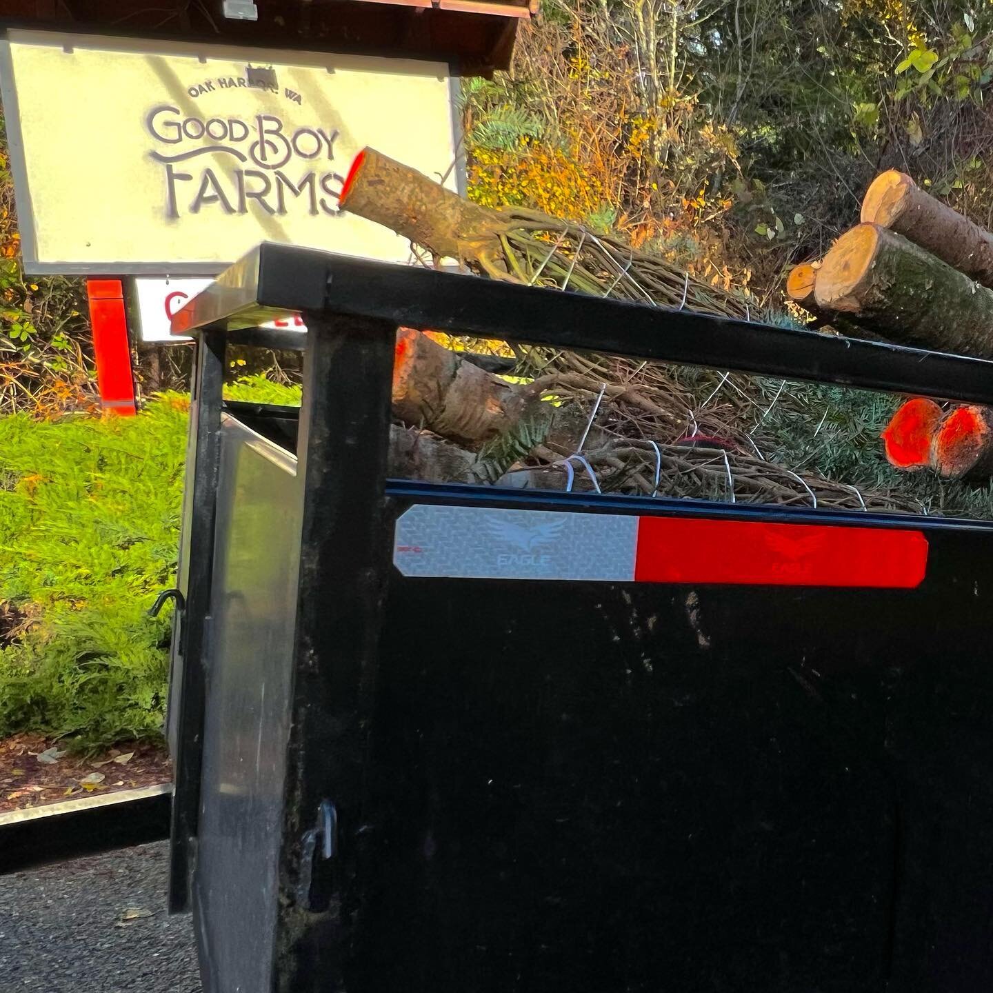 We are so excited to support local farms like @goodboyfarms.whidbey who provided the beautiful Christmas Trees we have for sale. #GrandFirs and #NobleFirs 5ft to 9ft as well as saplings #grownonwhidbey ready for your home. See you soon.  #christmastr