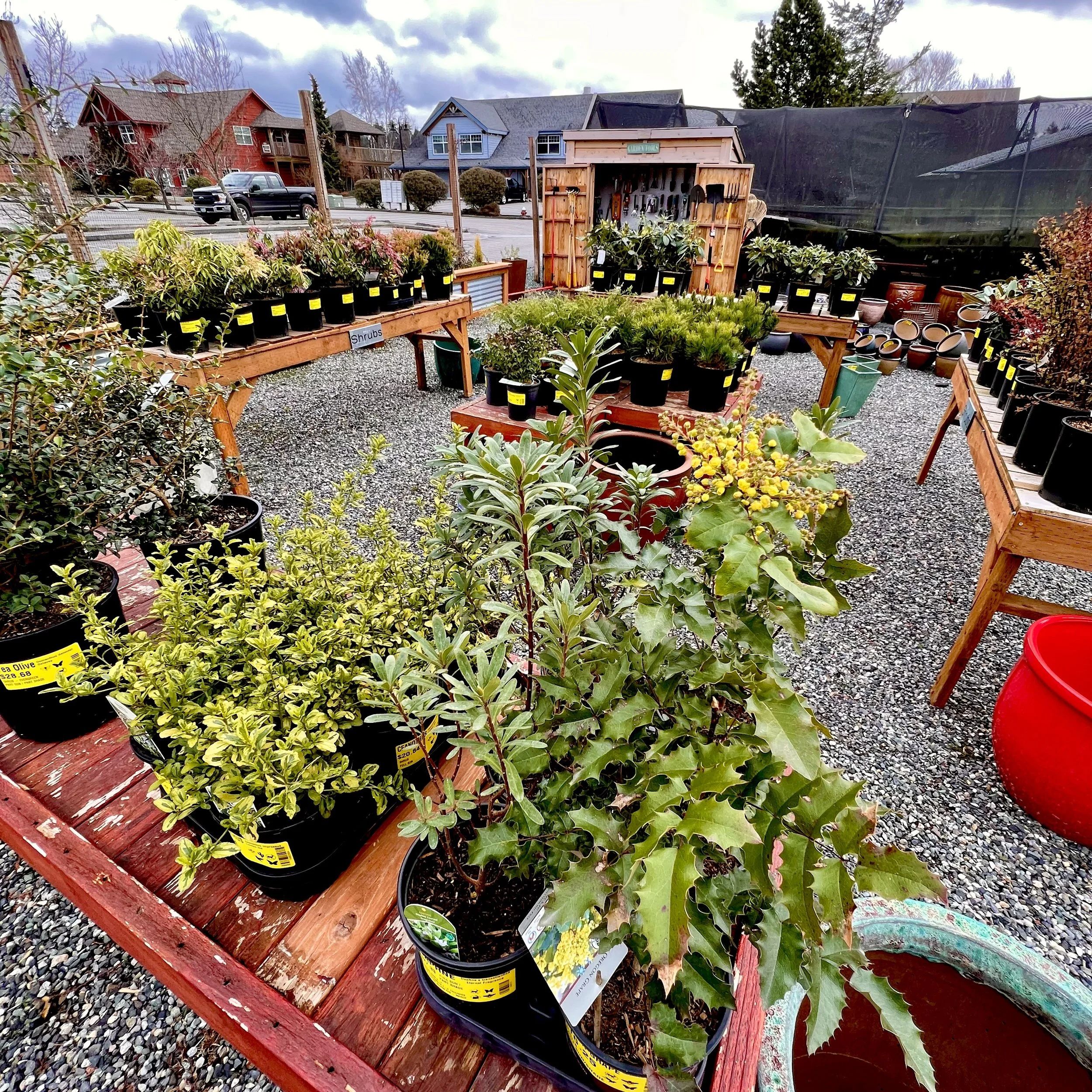 IS FALL A GOOD TIME FOR PLANTING?