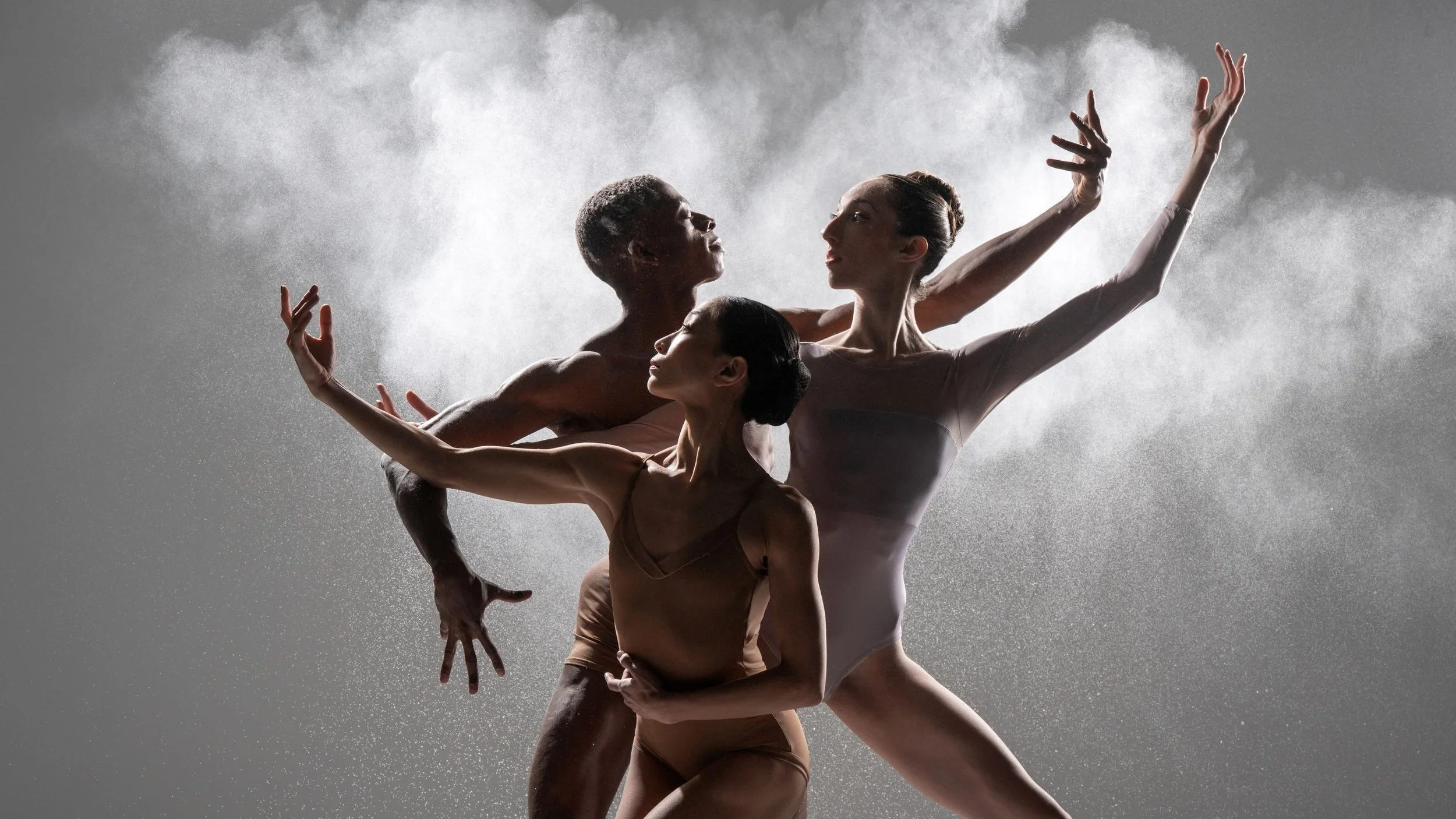 Ways To Support — Boulder Ballet
