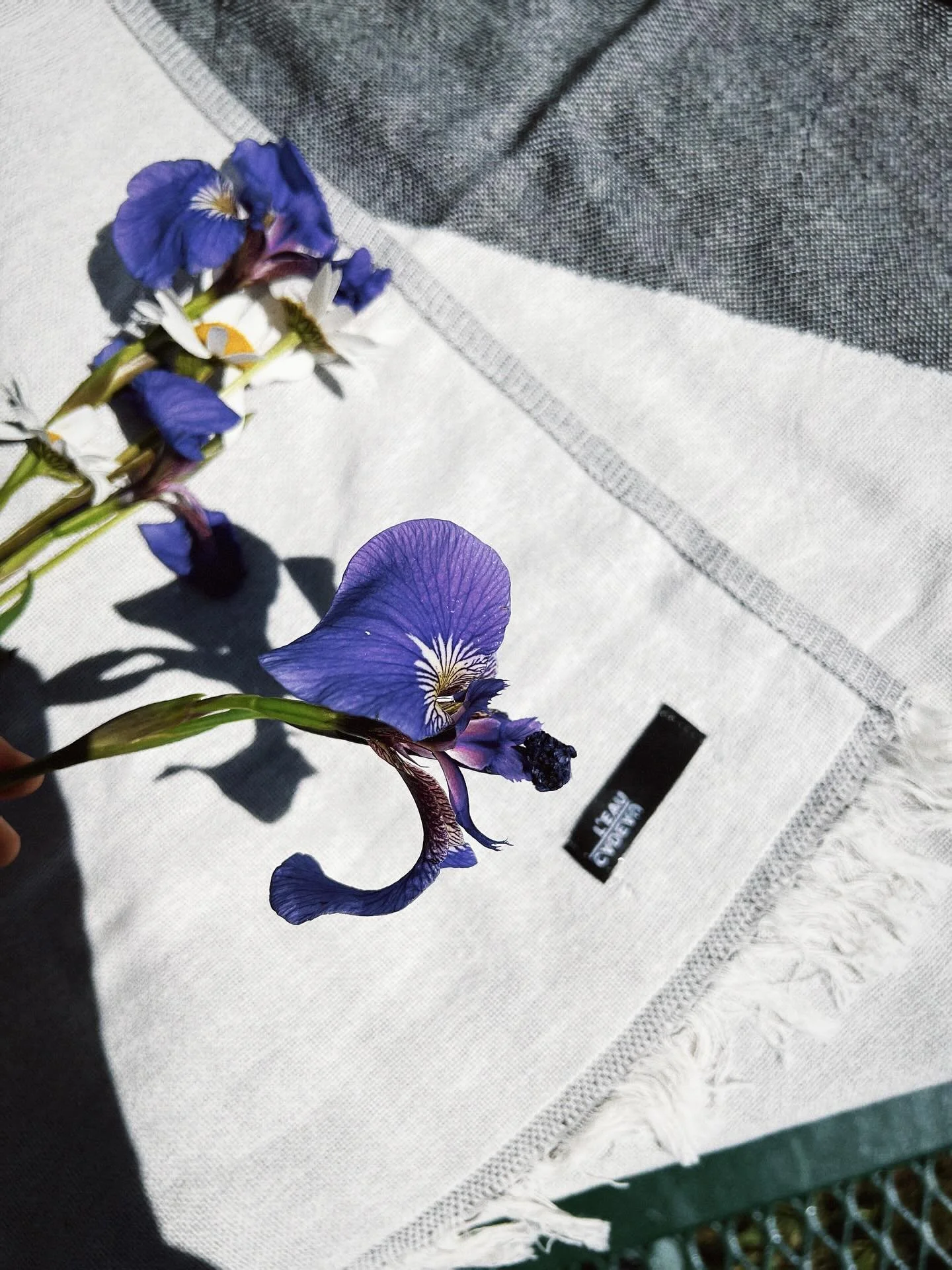 coming across some wild iris on a stroll.  isn&rsquo;t it breathtaking what nature can create 💜
🌲🌳💦⛰️🌱

#savenature #natureislove #protectnature #breathtaking #wildiris #naturelover #hike #naturewalk #beautyeverywhere #savenature🌱 #savetheearth