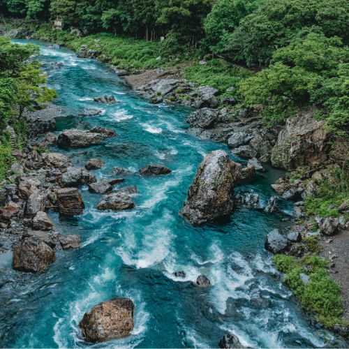 The river and the rudder