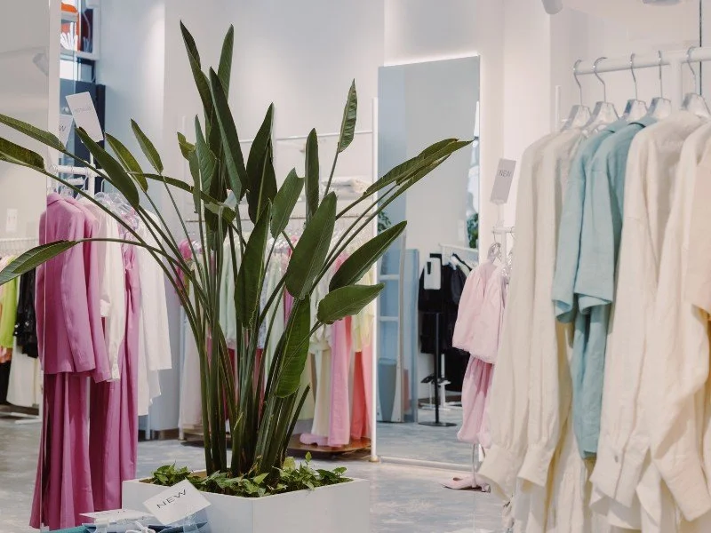 Plant, Tall Mirror and Organized Clothing