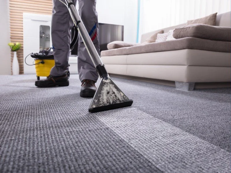 Steam cleaning carpets for freshness.