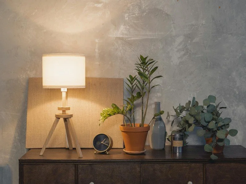 Warm lighting, plants enhance decor.