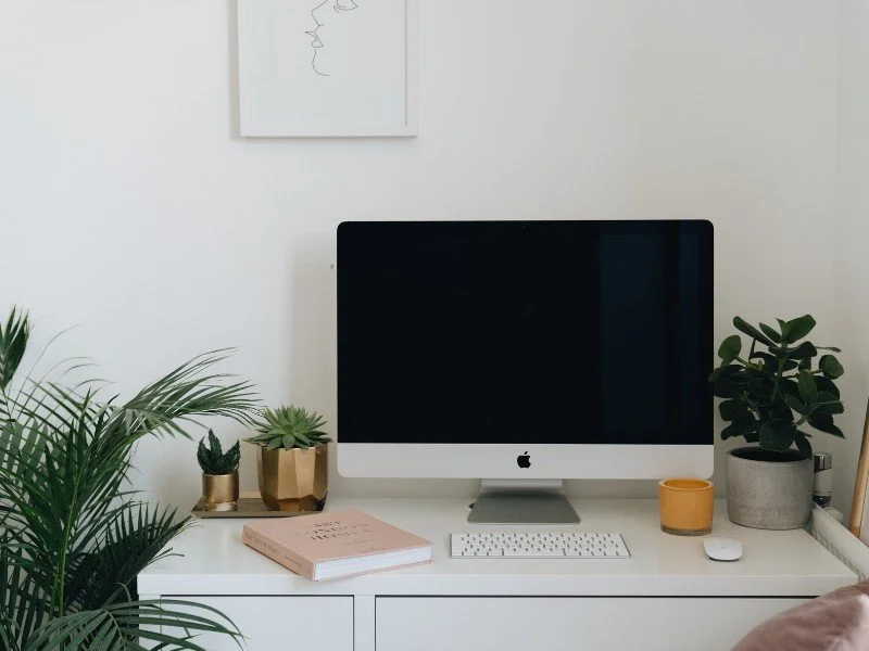Minimalist workspace, greenery for inspiration.