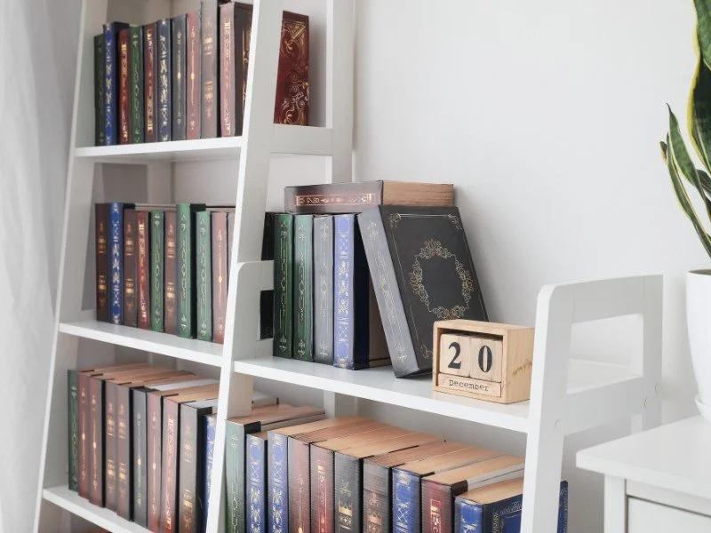 Organizing bookshelves, fostering intellectual growth.