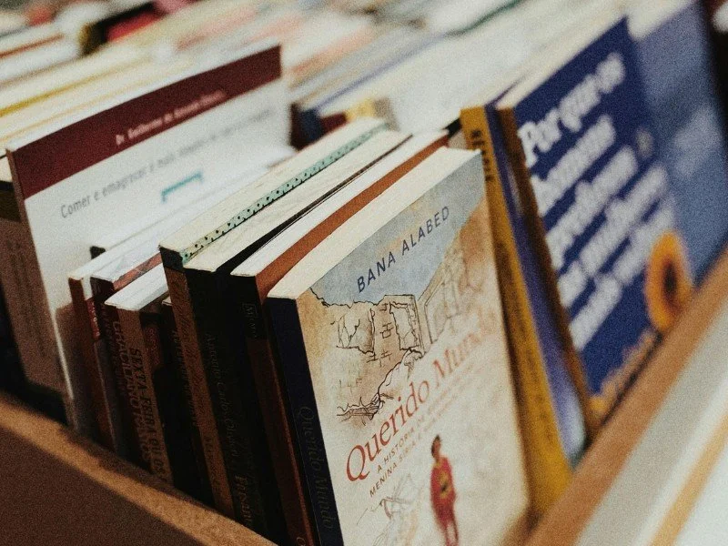 Books organized neatly, ready for reading.