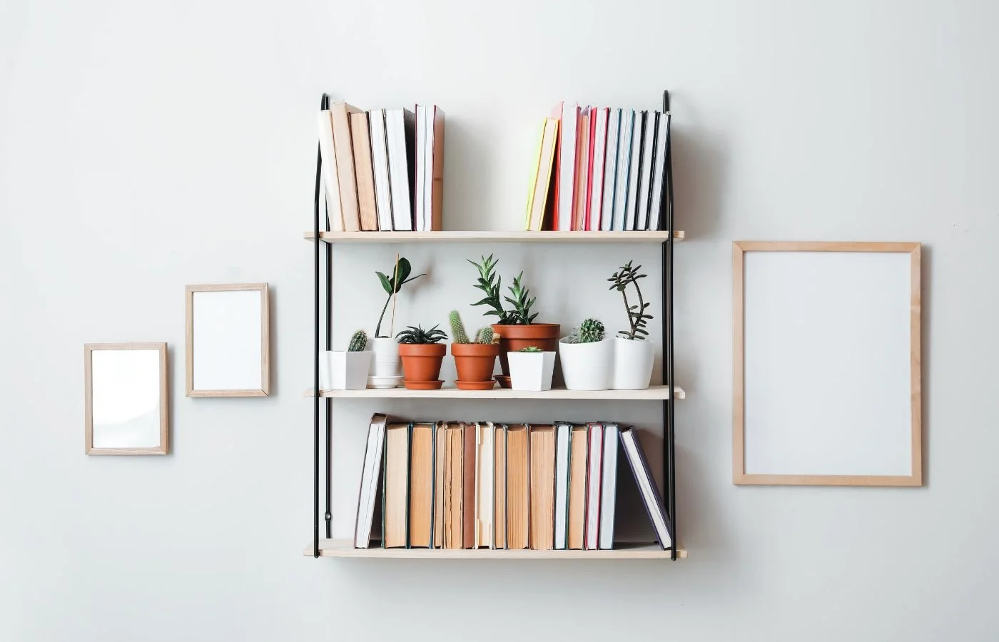 Shelf with books and plants.