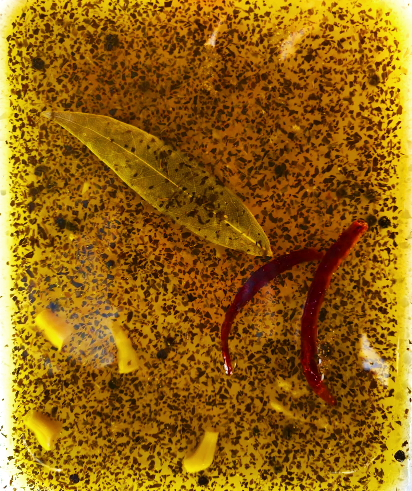 IMG_20220214_173109_639-resave-edit.png