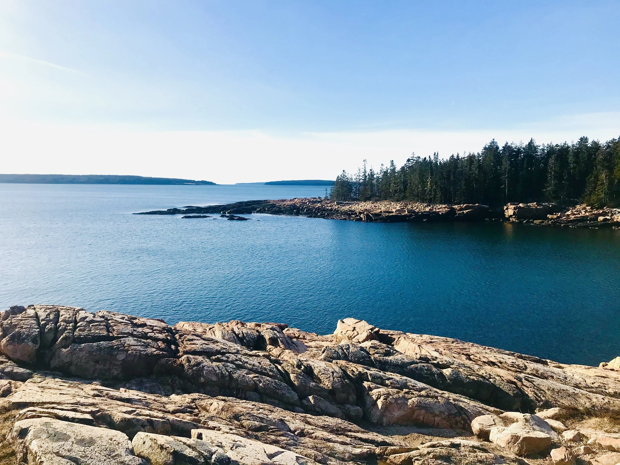 About 1 — Mane Haven