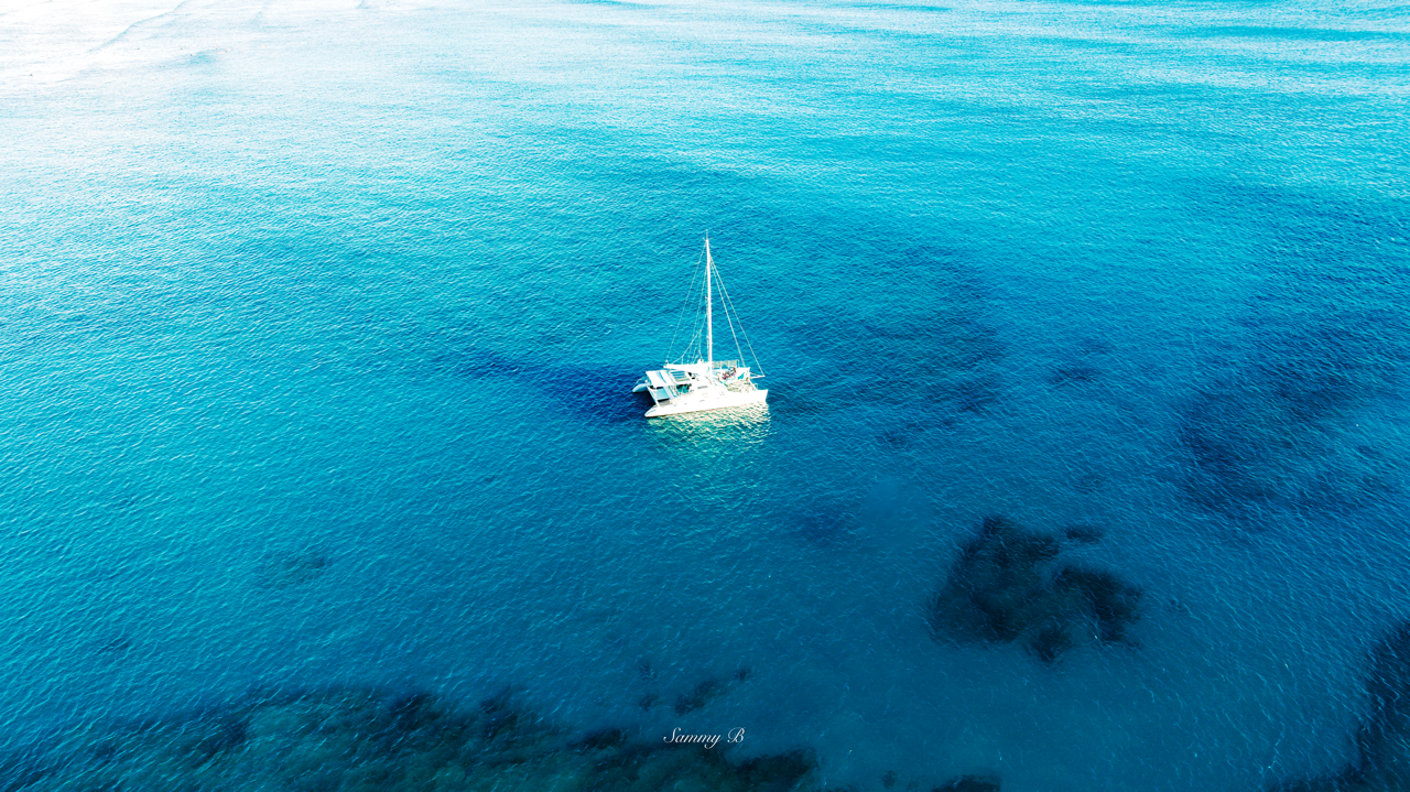 dji_fly_20240701_183826_0208_1719896856345_photo-2 Large.png