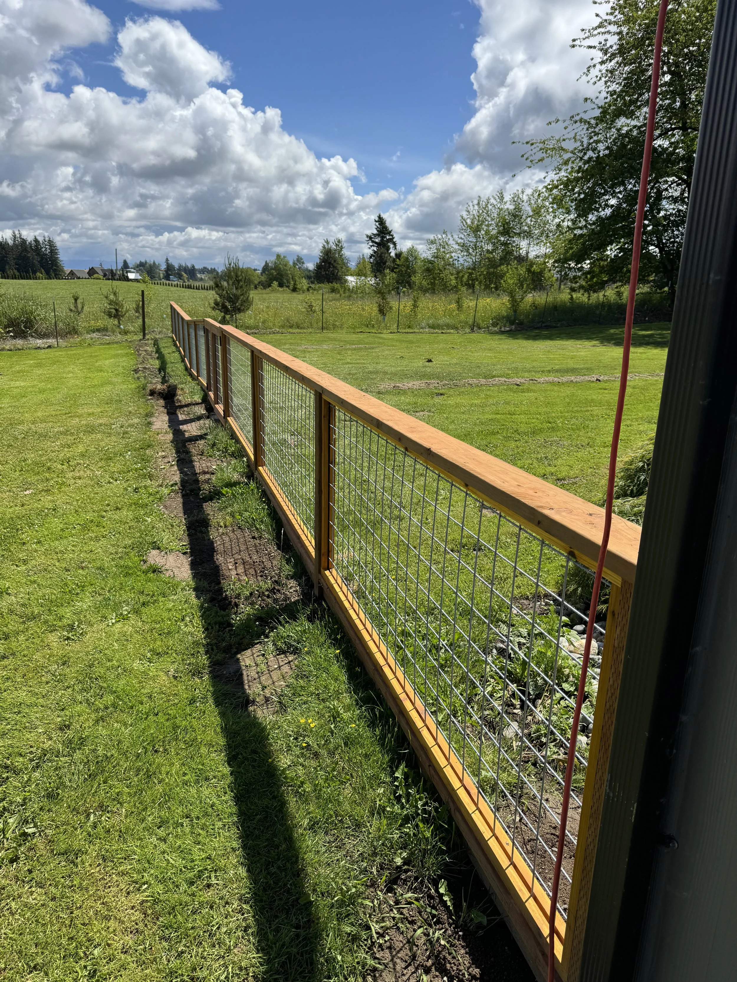 Hogwire Fence