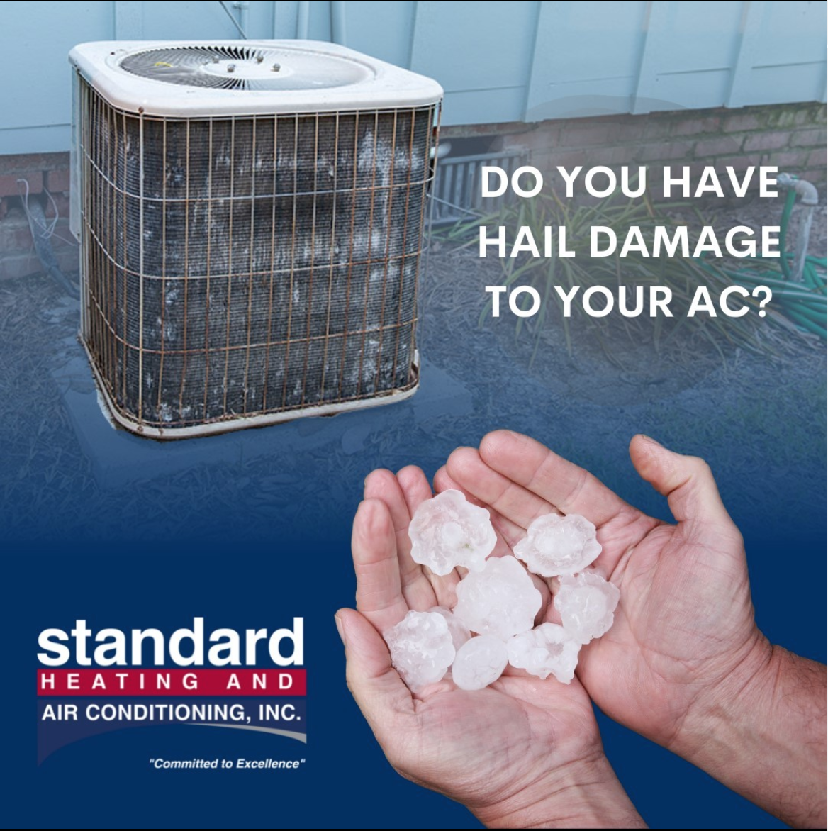 Screen Shot 2022-12-13 at 11.05.22 AM.png