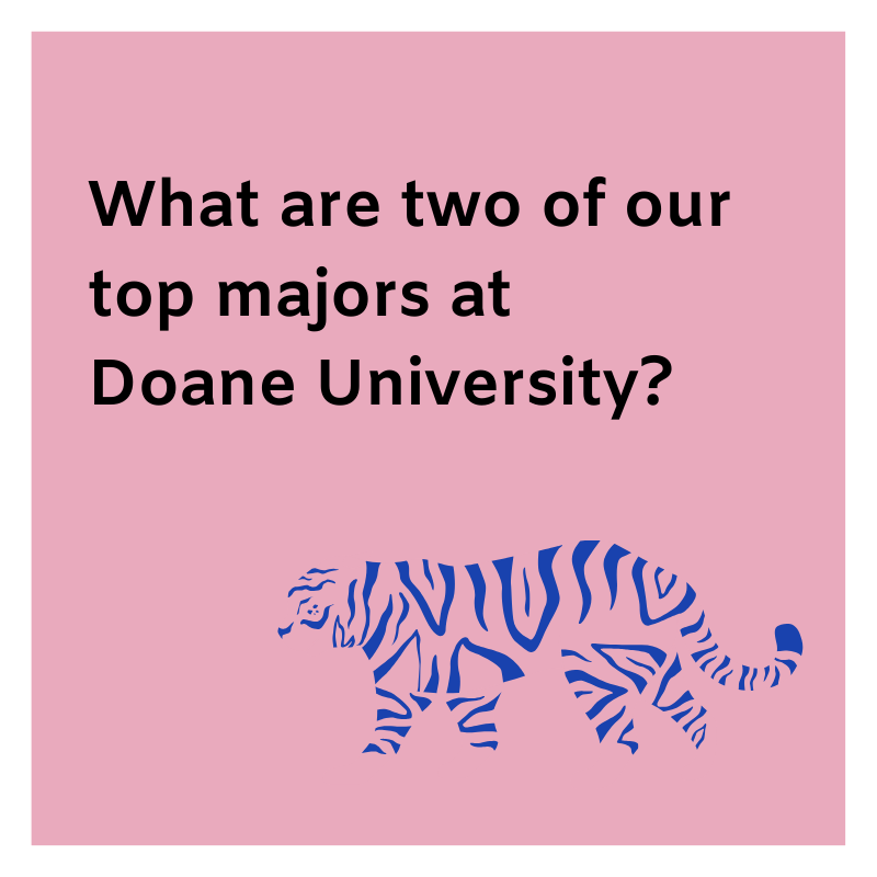 What are two of our top majors_.png