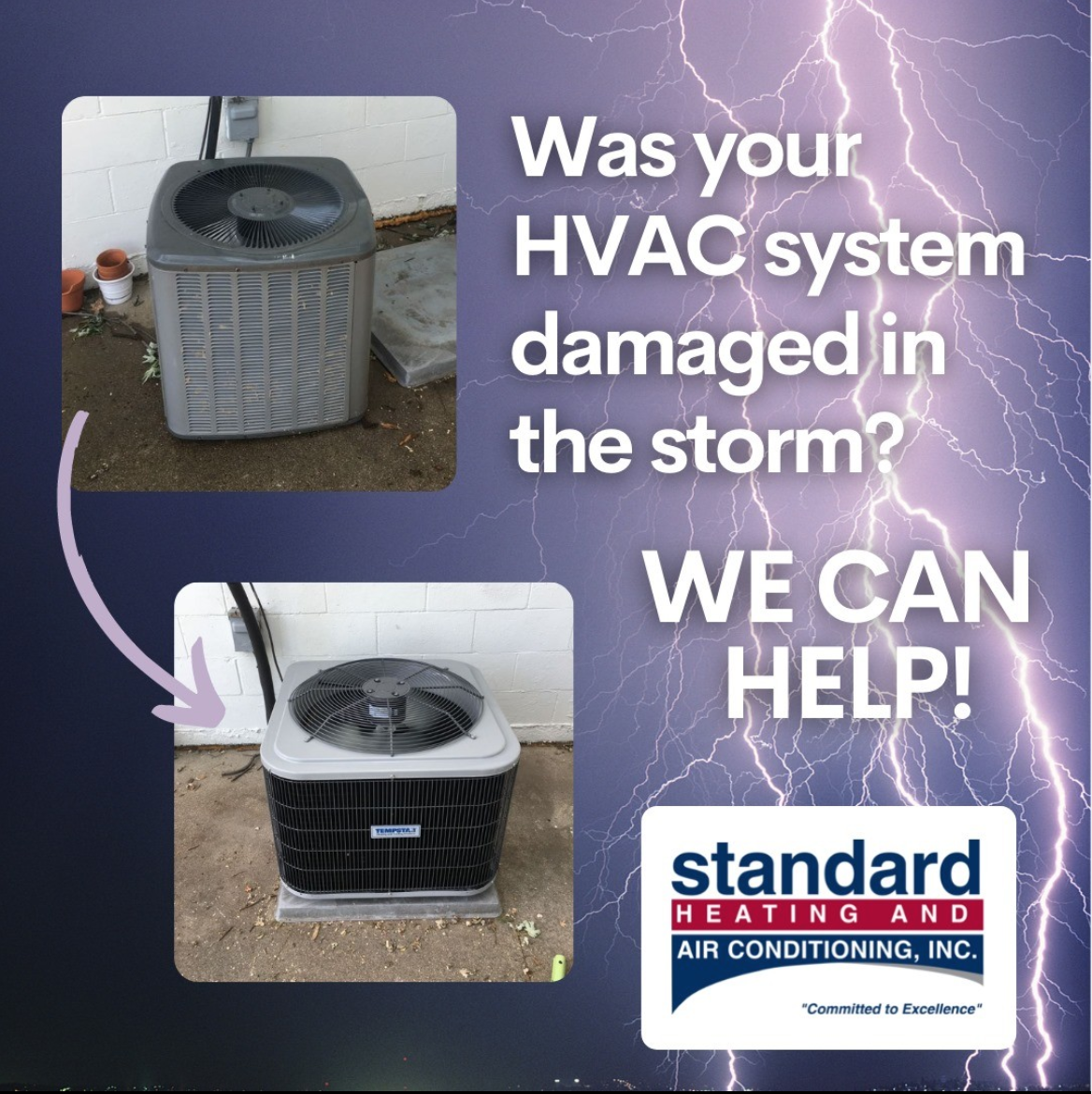 Screen Shot 2022-12-13 at 11.04.40 AM.png