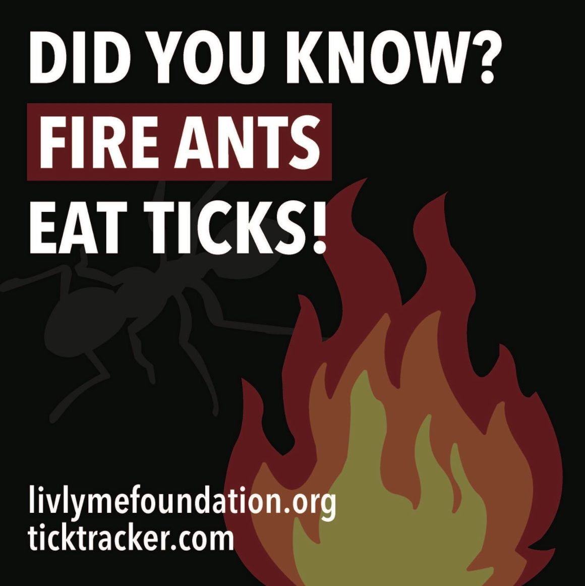 Screen Shot 2022-12-13 at 10.56.52 AM.png