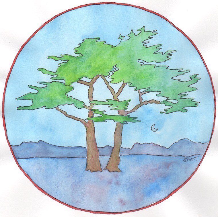 Days 41 &amp; 42 of my 100 day project #the100dayproject #watercolor #trees #nature #markers #dailyart #mandala
