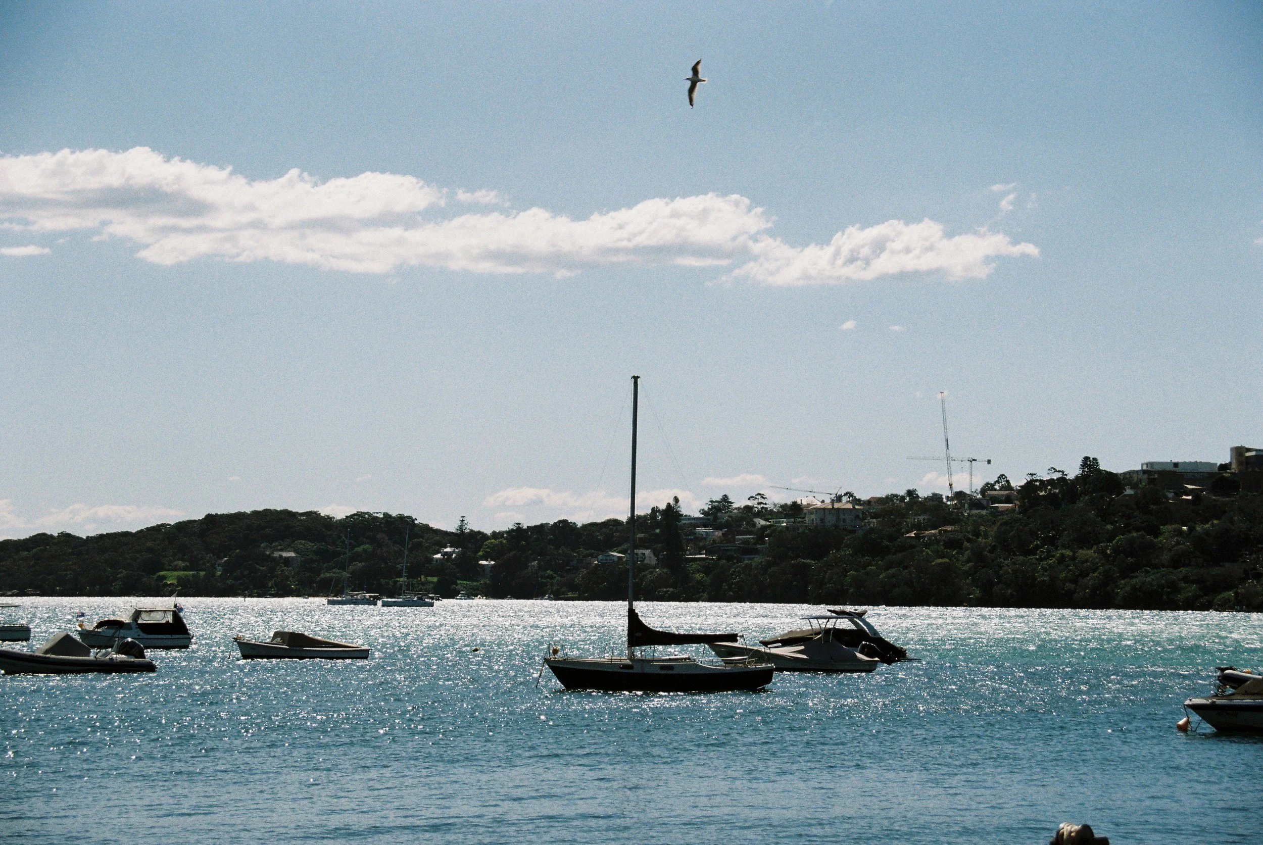 Sailboats and small motorboats on a harbor with a hillside residential area in the background under a partly cloudy sky.  Club Rose Bay Photography