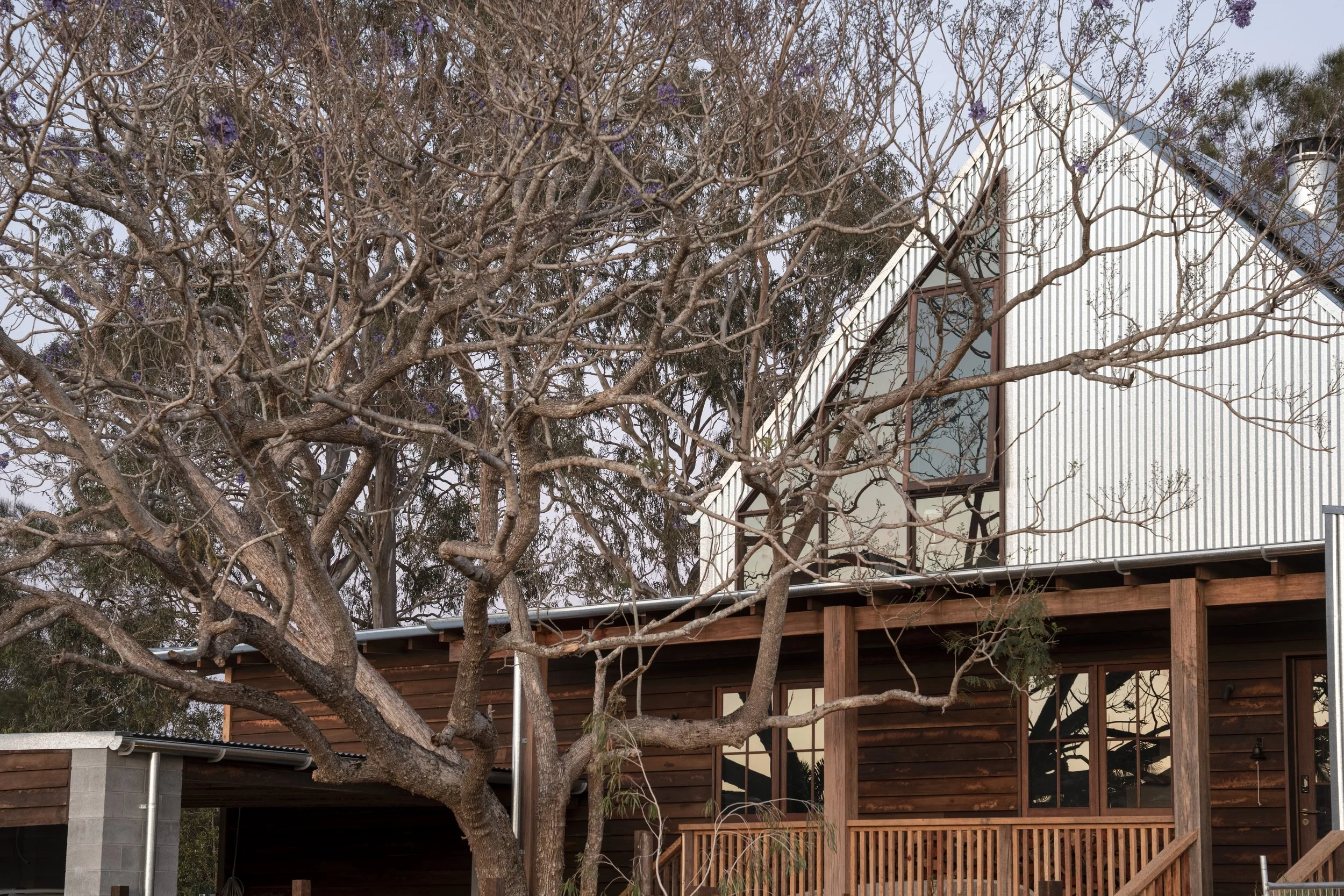 A modern house with a wooden deck and large glass windows, partially obscured by a large leafless tree in the foreground, under a partly cloudy sky. Currumbin Architecture Photography Joey Bailey