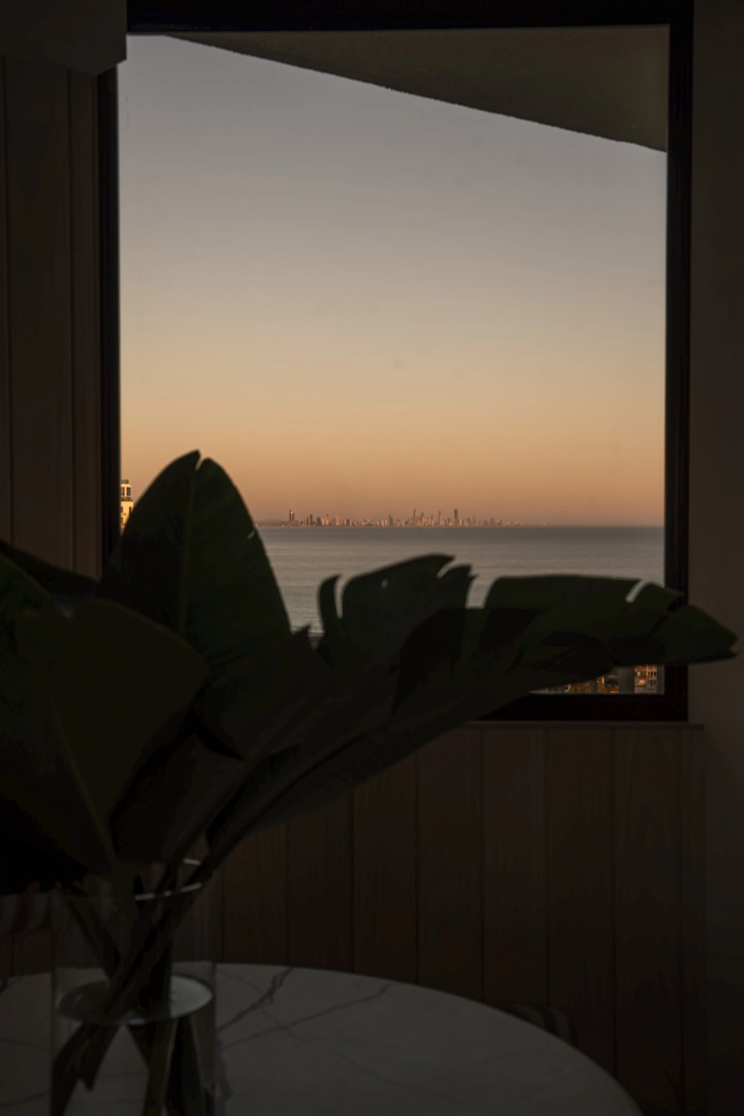 Indoor scene with a large window revealing a city skyline across a calm body of water during sunset. Inside, a potted plant with broad leaves is visible in the foreground on a table. Gold Coast Architecture photography by Joey Bailey