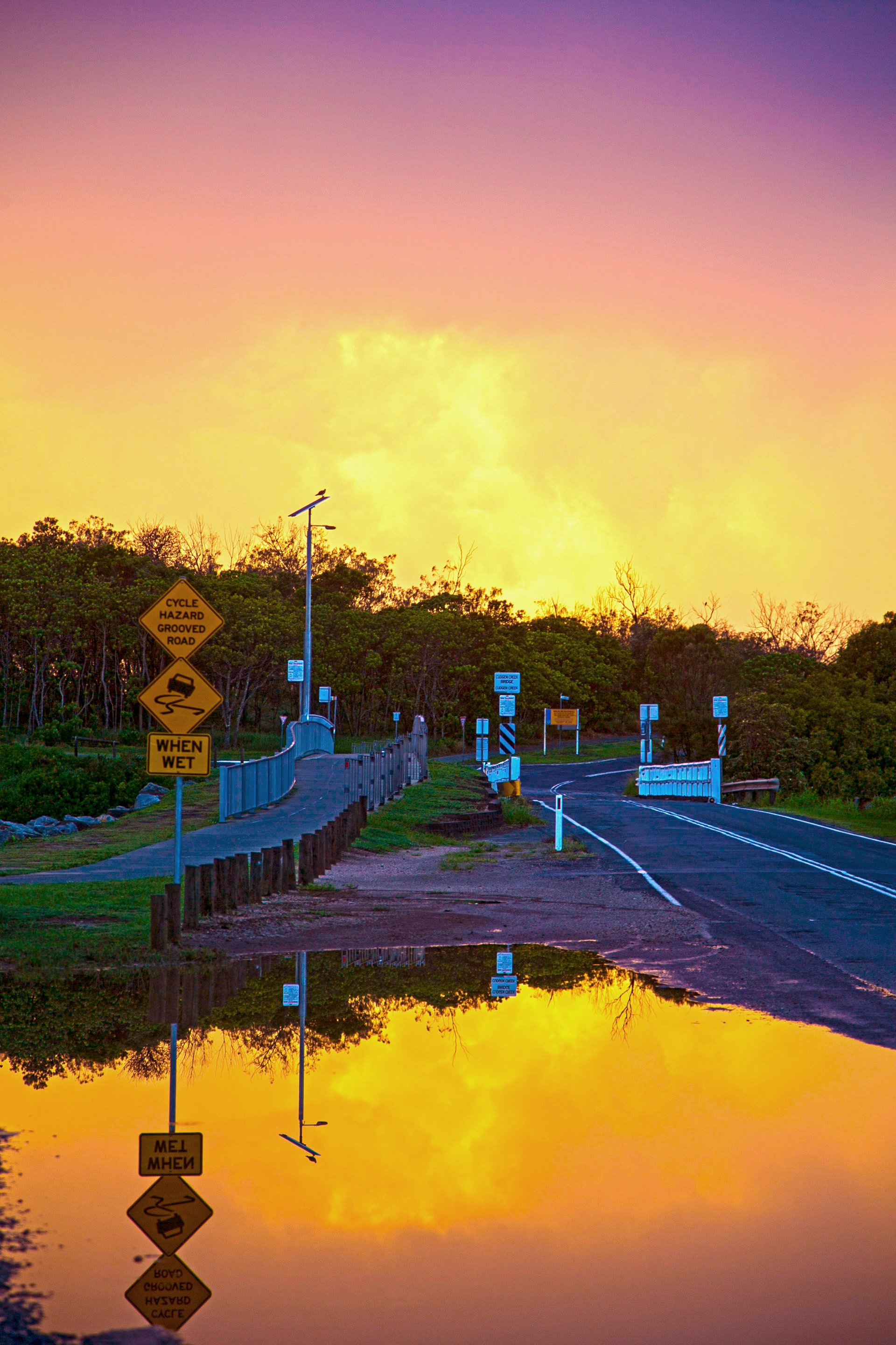 Sunset sky reflecting on a puddle by a rural roadside with warning signs and trees.