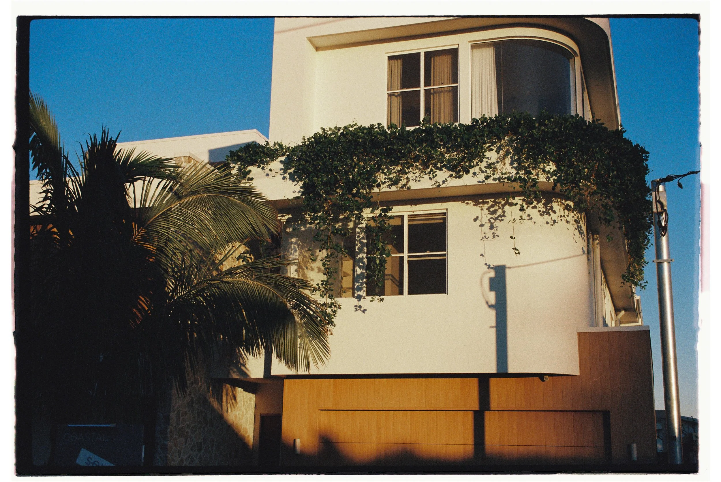 Modern white multi-story house with curved corners, large windows, and green vines growing around the balcony, under a clear blue sky, with palm trees in the foreground. Architecture photography Gold Coast by Joey Bailey