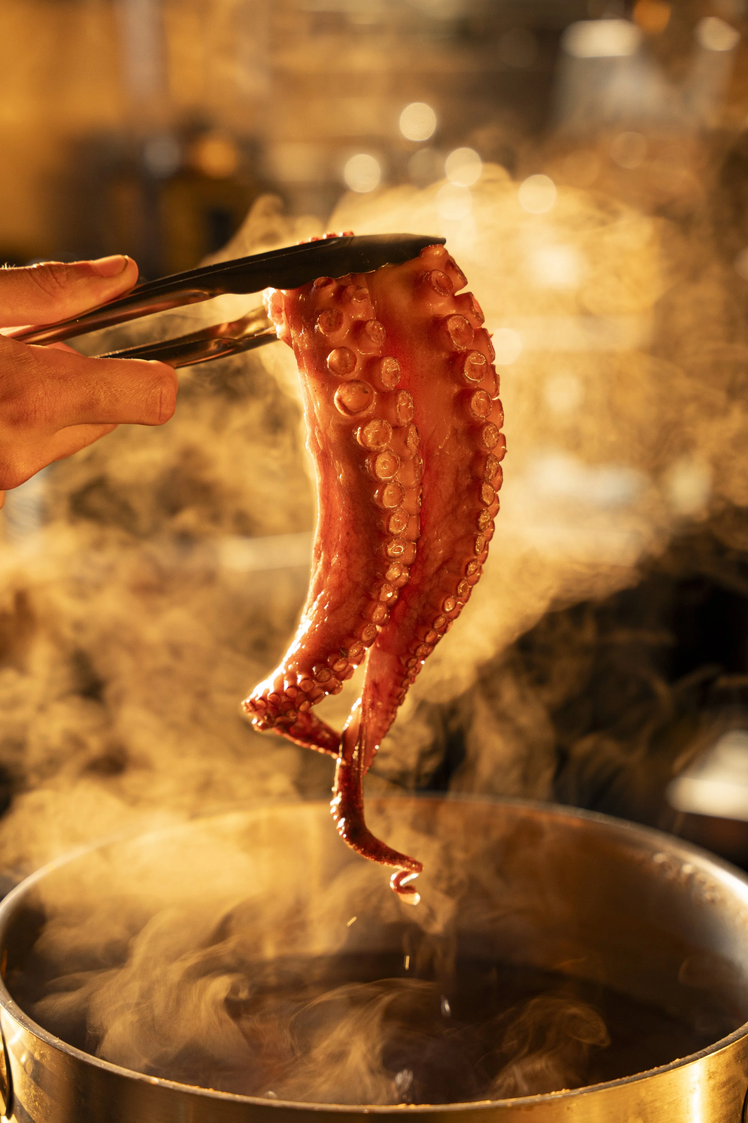 Person holding a pair of tongs with a cooked octopus tentacle above a steaming pot. Gold Coast Food Photography by Joey Bailey