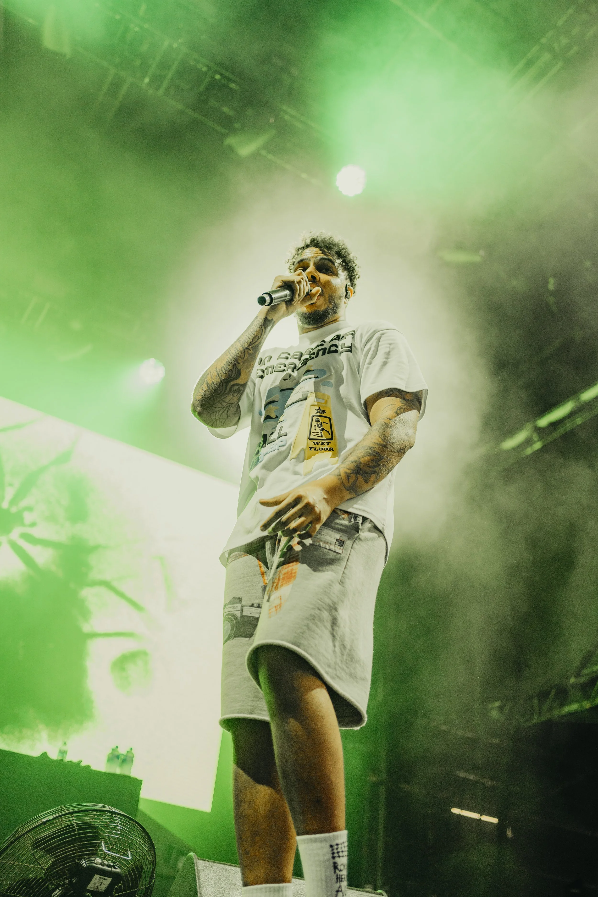 AJ Tracey Laneway 2024