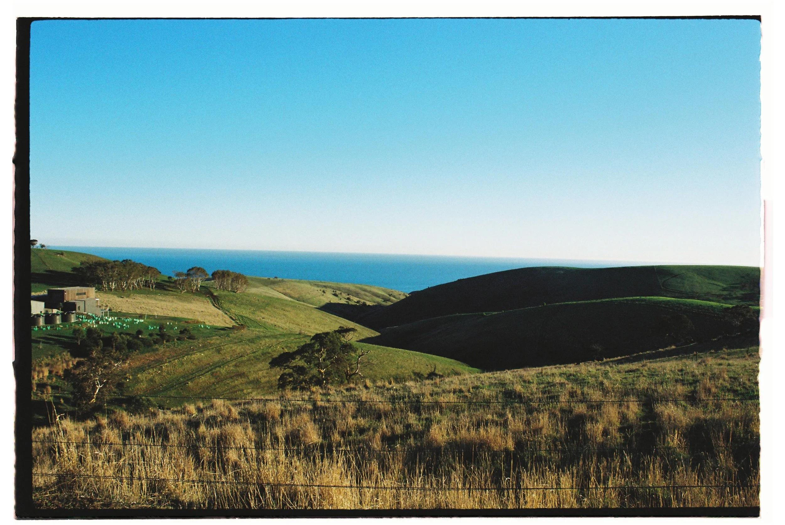 35mm A scenic view of rolling green hills with a distant ocean in the background, under a clear blue sky. Gold Coast | Byron Bay Photography by Joey Bailey