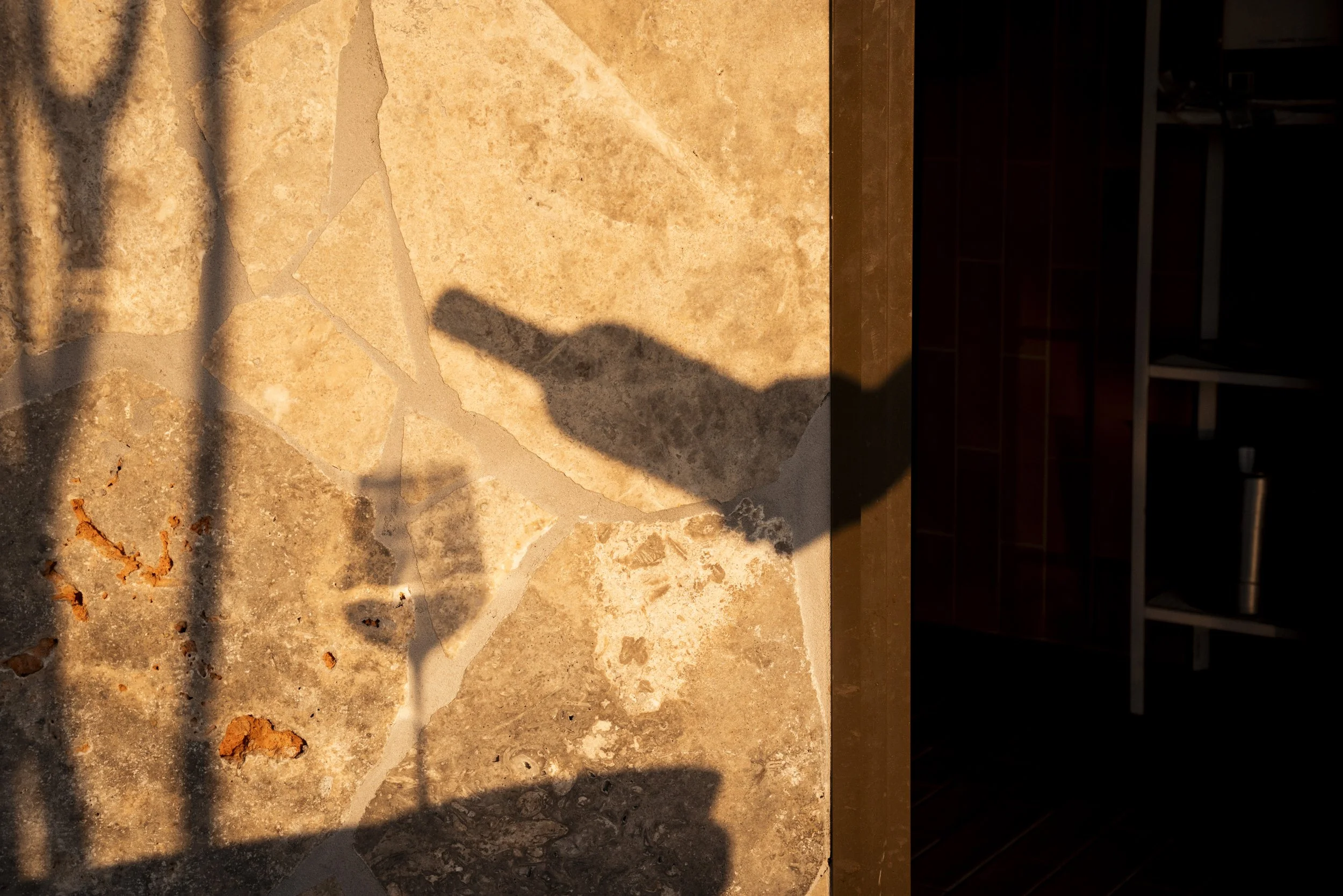 Shadows of a person and a dog cast onto a stone patio during sunset, with part of a dark room visible on the right side. Gold Coast Food Photography by Joey Bailey